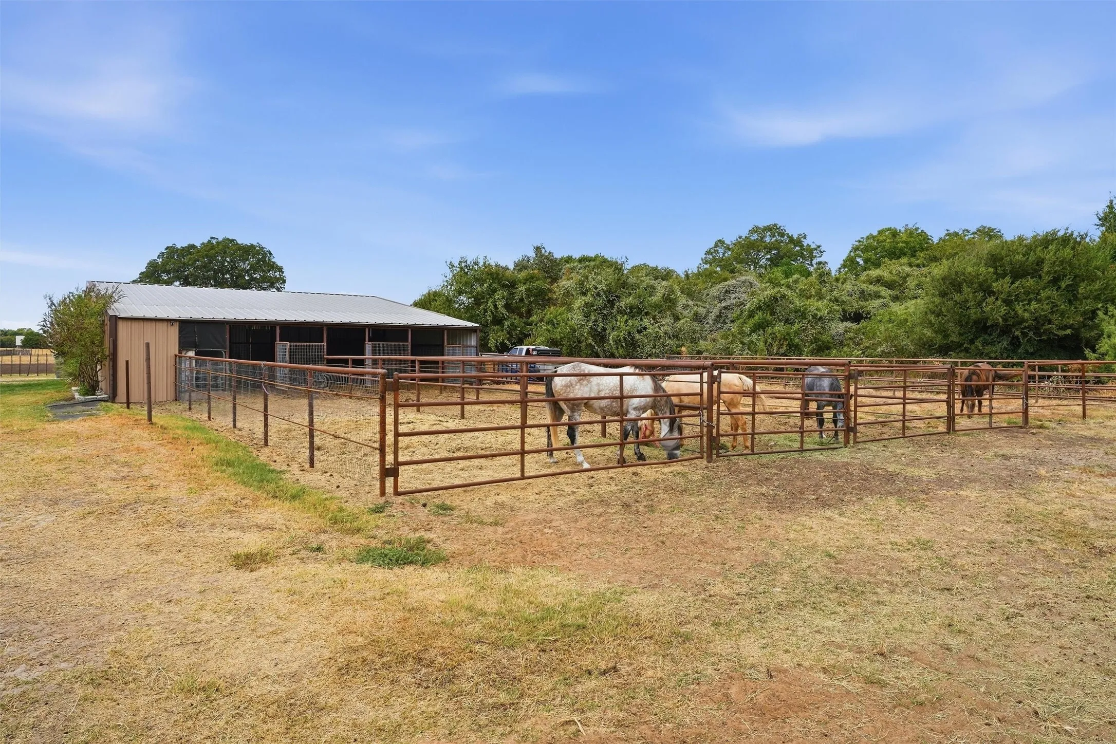 Farm For Sale in Parker County , 13827 Baker Road, Weatherford, Texas 76087, 3 Bedroom, 2 Bathroom, 2 Garage spaces, 1,380 Sqft, built in 1997, mls#21397345, Real Estate Agent in Weatherford, Homes For Sale in Parker county, Homes For Sale in Weatherford, Realtor in Weatherford Texas, Real Estate Brokerage Independent Realty Texas, Luminita Cordes Realtor