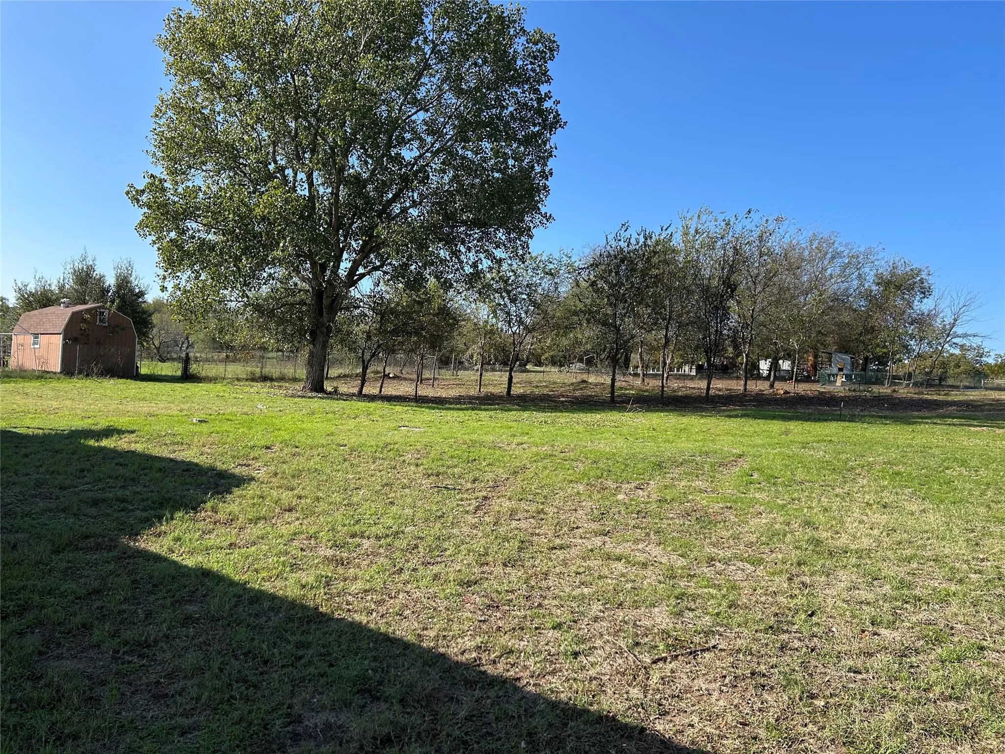 Expansive grassy lot featuring mature trees and a detached shed with a gambrel roof