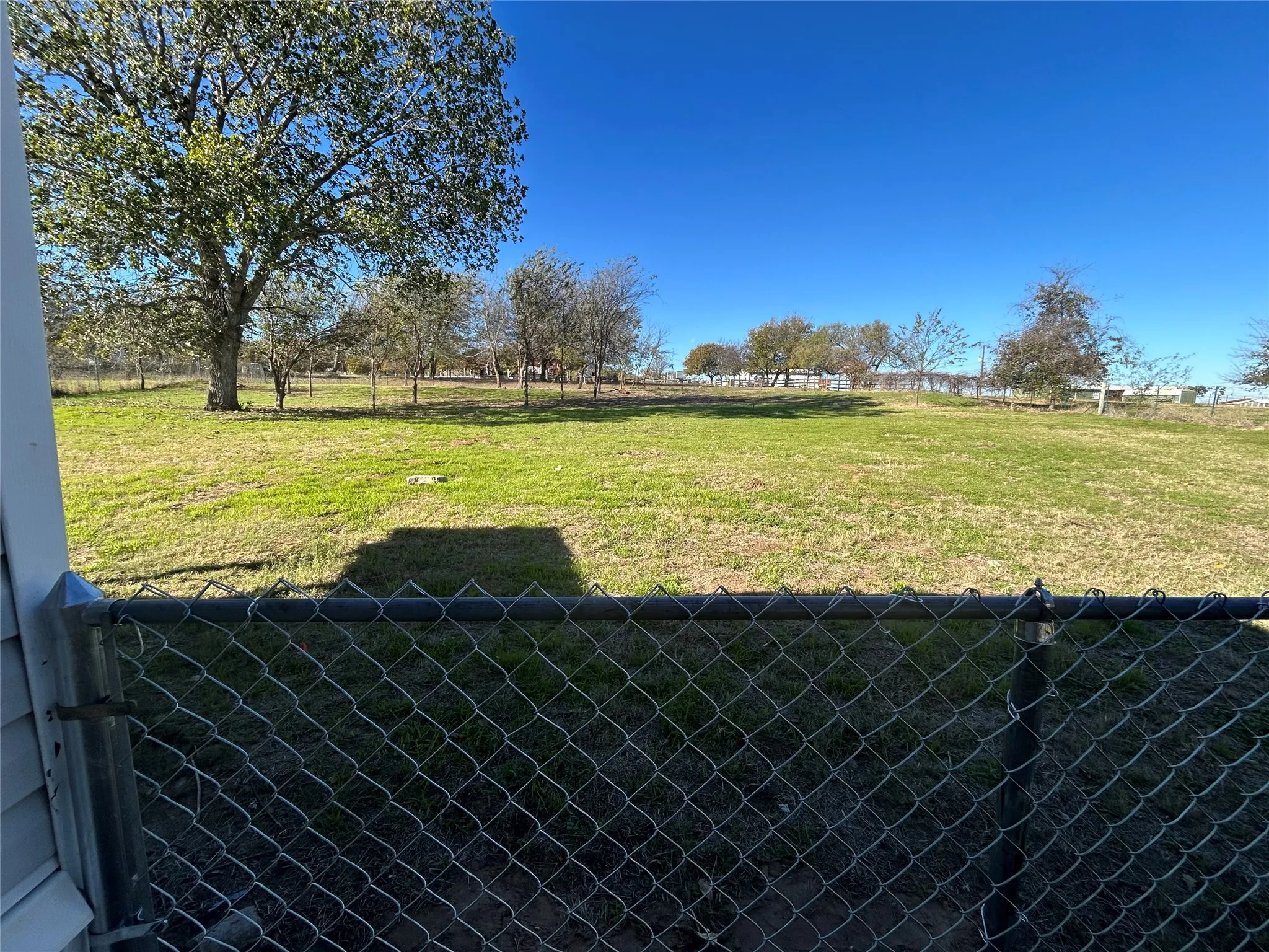 Expansive green space featuring chain link fencing and mature trees