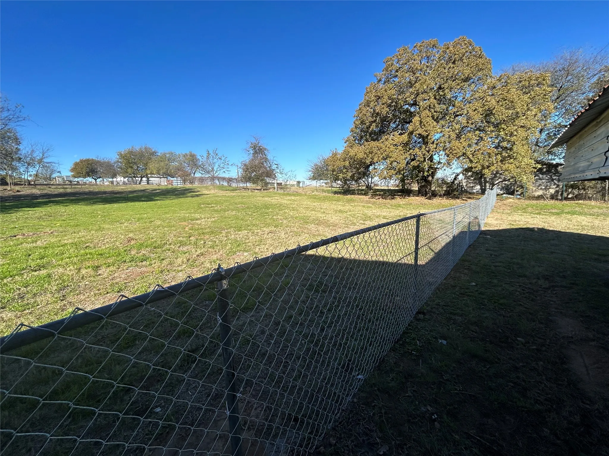 Expansive yard featuring a chain-link fence, mature trees, and a clear sky backdrop
