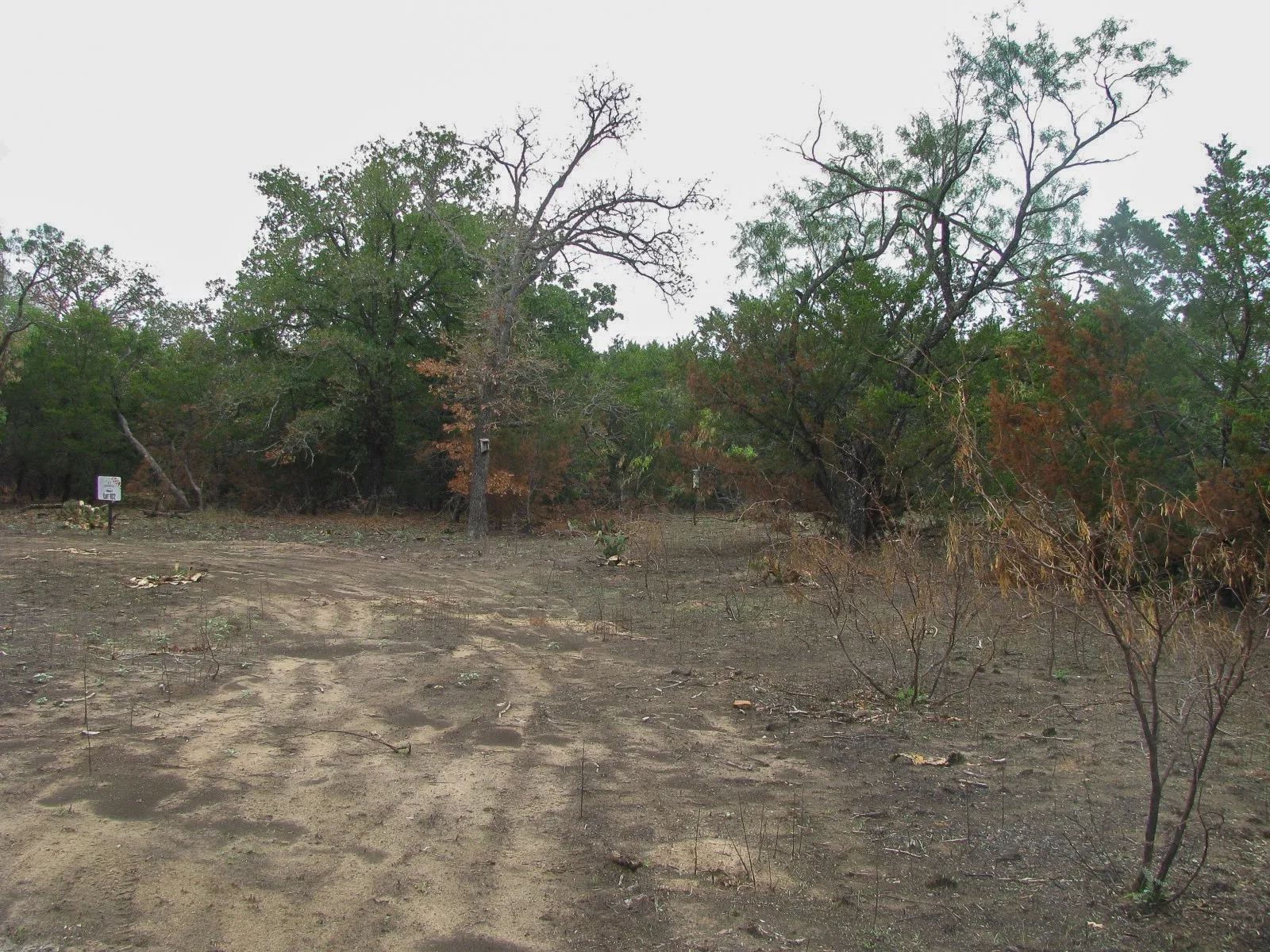 Unimproved Land For Sale in Hamilton County , Lot 102 Ph 6 Private Road 42101, Evant, Texas 76525, 0, 0, Garage spaces, 0 Sqft, built in 0, mls#21400983, Real Estate Agent in Evant, Homes For Sale in Hamilton county, Homes For Sale in Evant, Realtor in Evant Texas, Real Estate Brokerage Independent Realty Texas, Luminita Cordes Realtor
