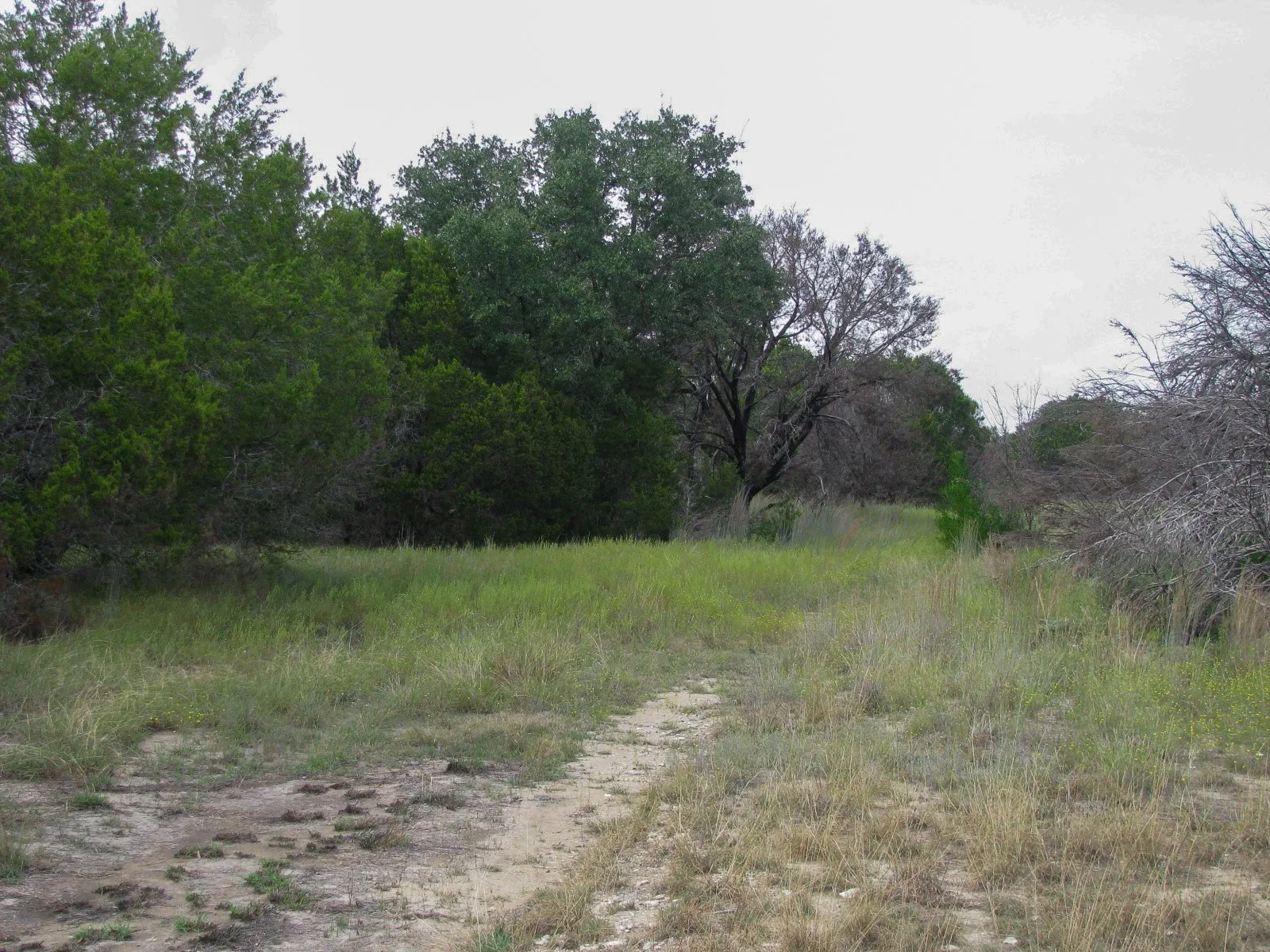 Unimproved Land For Sale in Hamilton County , Lot 102 Ph 6 Private Road 42101, Evant, Texas 76525, 0, 0, Garage spaces, 0 Sqft, built in 0, mls#21400983, Real Estate Agent in Evant, Homes For Sale in Hamilton county, Homes For Sale in Evant, Realtor in Evant Texas, Real Estate Brokerage Independent Realty Texas, Luminita Cordes Realtor