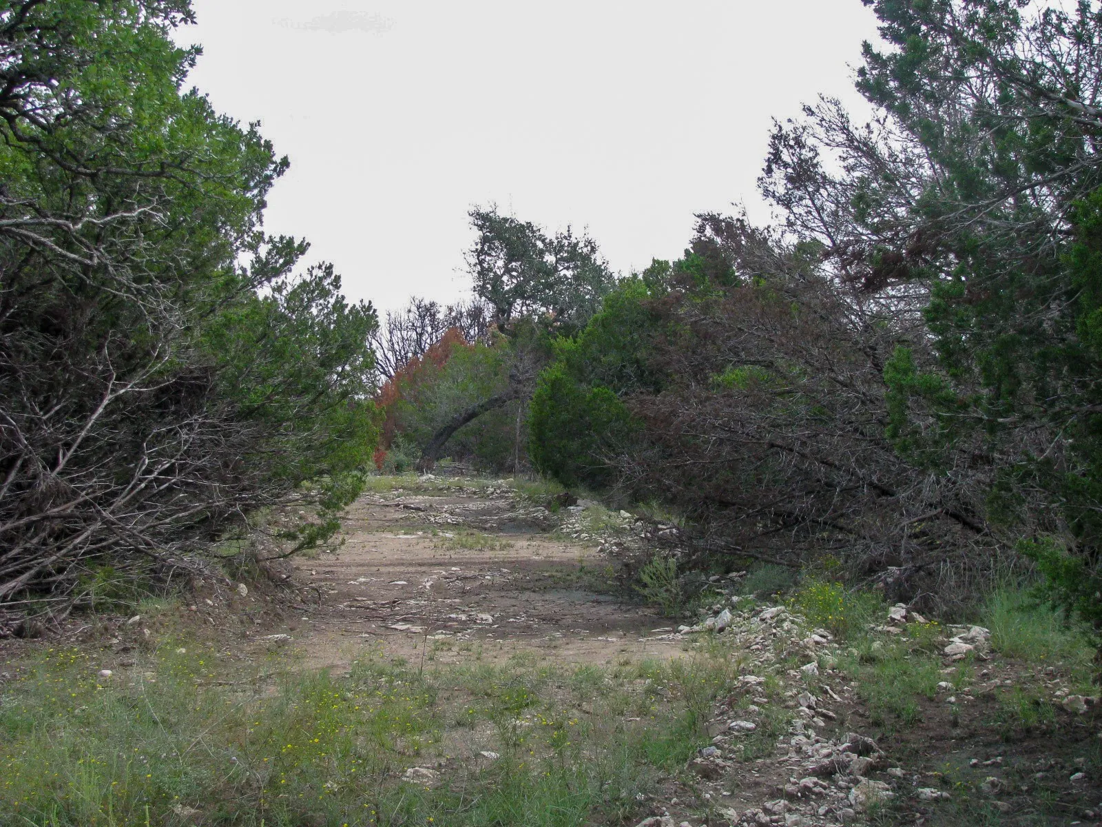 Unimproved Land For Sale in Hamilton County , Lot 102 Ph 6 Private Road 42101, Evant, Texas 76525, 0, 0, Garage spaces, 0 Sqft, built in 0, mls#21400983, Real Estate Agent in Evant, Homes For Sale in Hamilton county, Homes For Sale in Evant, Realtor in Evant Texas, Real Estate Brokerage Independent Realty Texas, Luminita Cordes Realtor