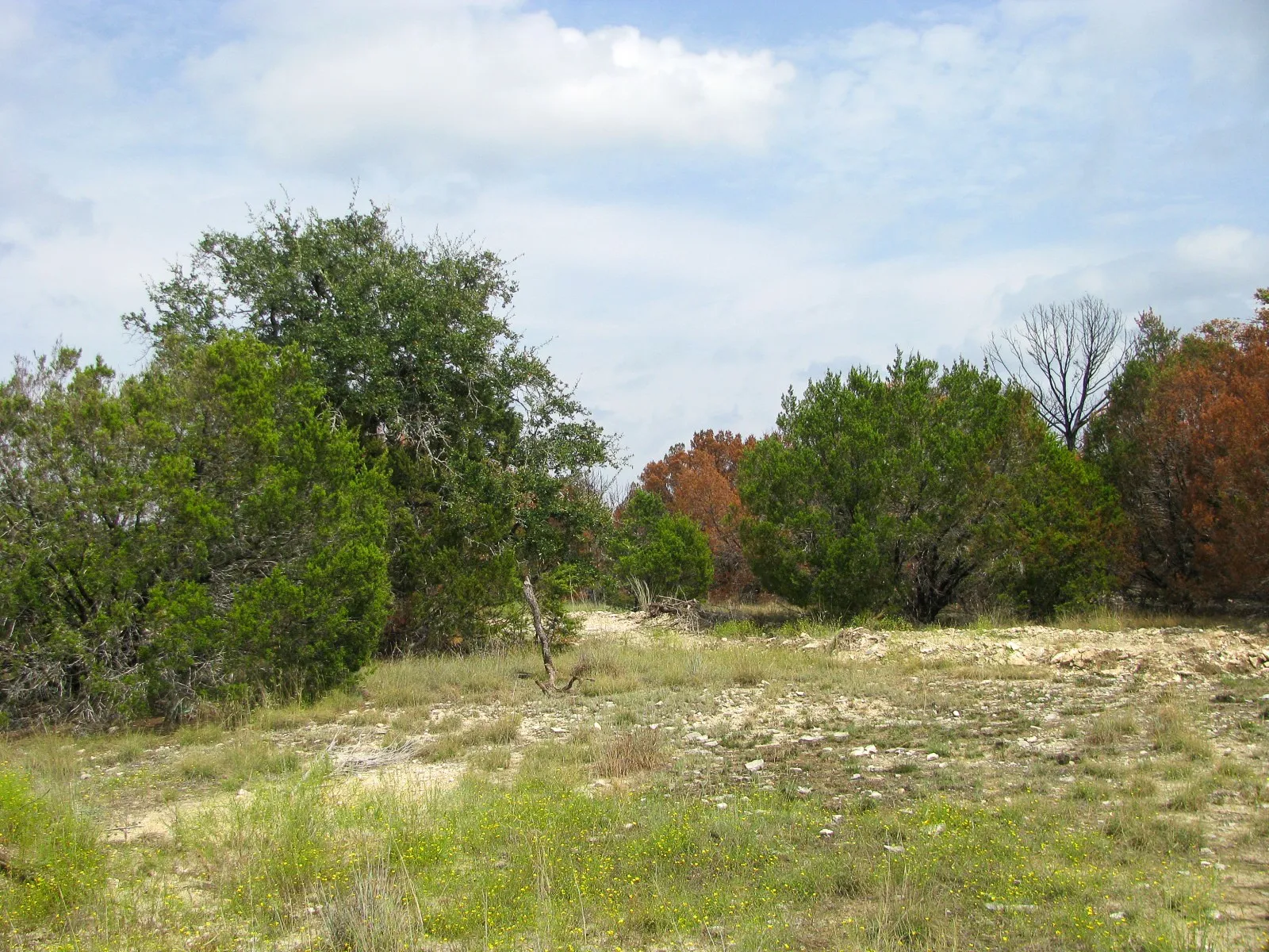 Unimproved Land For Sale in Hamilton County , Lot 102 Ph 6 Private Road 42101, Evant, Texas 76525, 0, 0, Garage spaces, 0 Sqft, built in 0, mls#21400983, Real Estate Agent in Evant, Homes For Sale in Hamilton county, Homes For Sale in Evant, Realtor in Evant Texas, Real Estate Brokerage Independent Realty Texas, Luminita Cordes Realtor