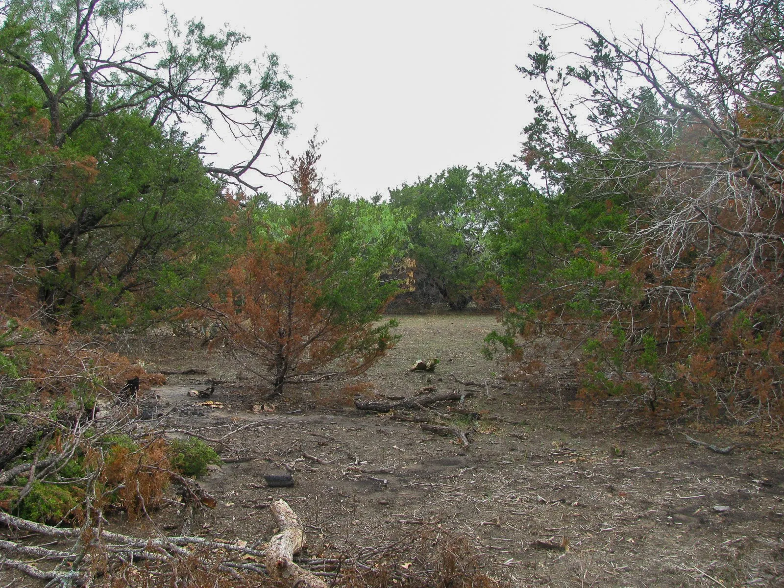 Unimproved Land For Sale in Hamilton County , Lot 102 Ph 6 Private Road 42101, Evant, Texas 76525, 0, 0, Garage spaces, 0 Sqft, built in 0, mls#21400983, Real Estate Agent in Evant, Homes For Sale in Hamilton county, Homes For Sale in Evant, Realtor in Evant Texas, Real Estate Brokerage Independent Realty Texas, Luminita Cordes Realtor