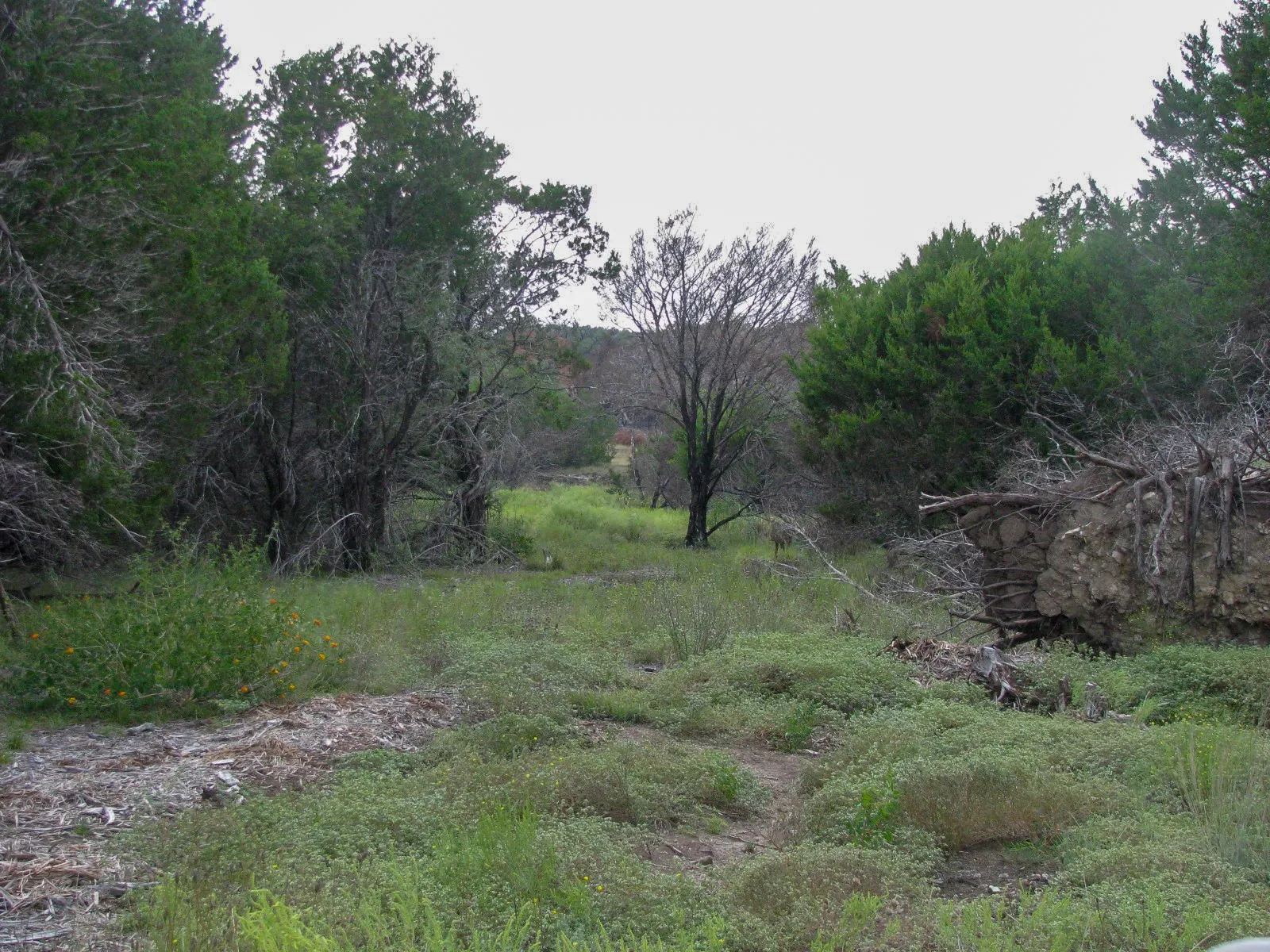 Unimproved Land For Sale in Hamilton County , Lot 102 Ph 6 Private Road 42101, Evant, Texas 76525, 0, 0, Garage spaces, 0 Sqft, built in 0, mls#21400983, Real Estate Agent in Evant, Homes For Sale in Hamilton county, Homes For Sale in Evant, Realtor in Evant Texas, Real Estate Brokerage Independent Realty Texas, Luminita Cordes Realtor