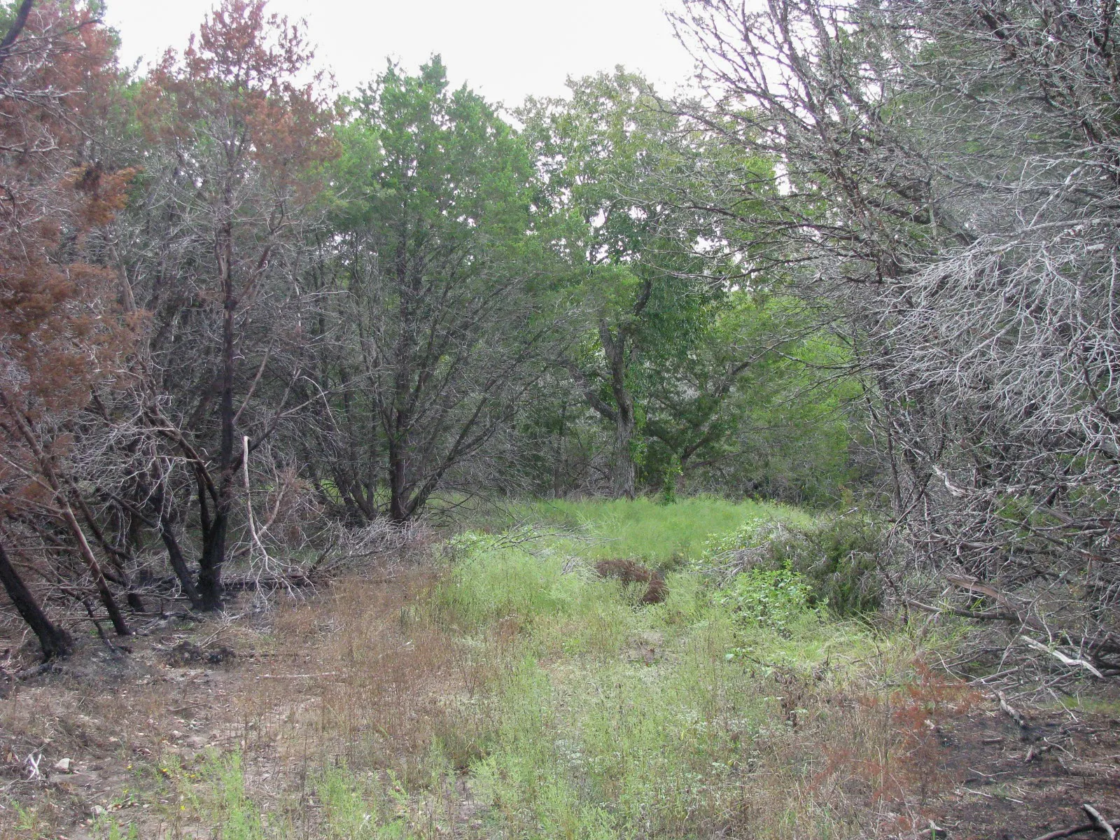 Unimproved Land For Sale in Hamilton County , Lot 102 Ph 6 Private Road 42101, Evant, Texas 76525, 0, 0, Garage spaces, 0 Sqft, built in 0, mls#21400983, Real Estate Agent in Evant, Homes For Sale in Hamilton county, Homes For Sale in Evant, Realtor in Evant Texas, Real Estate Brokerage Independent Realty Texas, Luminita Cordes Realtor