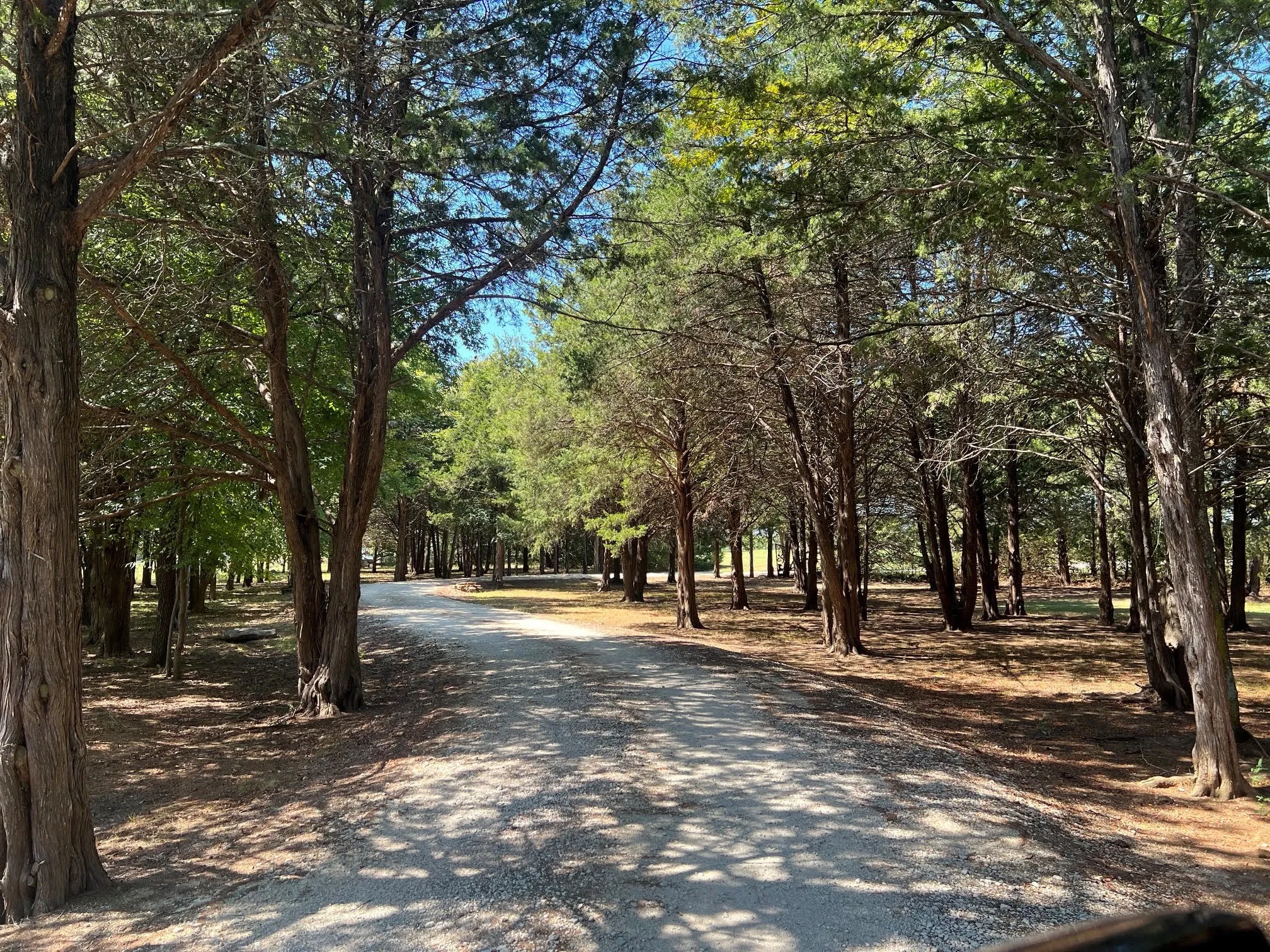 Drive leading to home