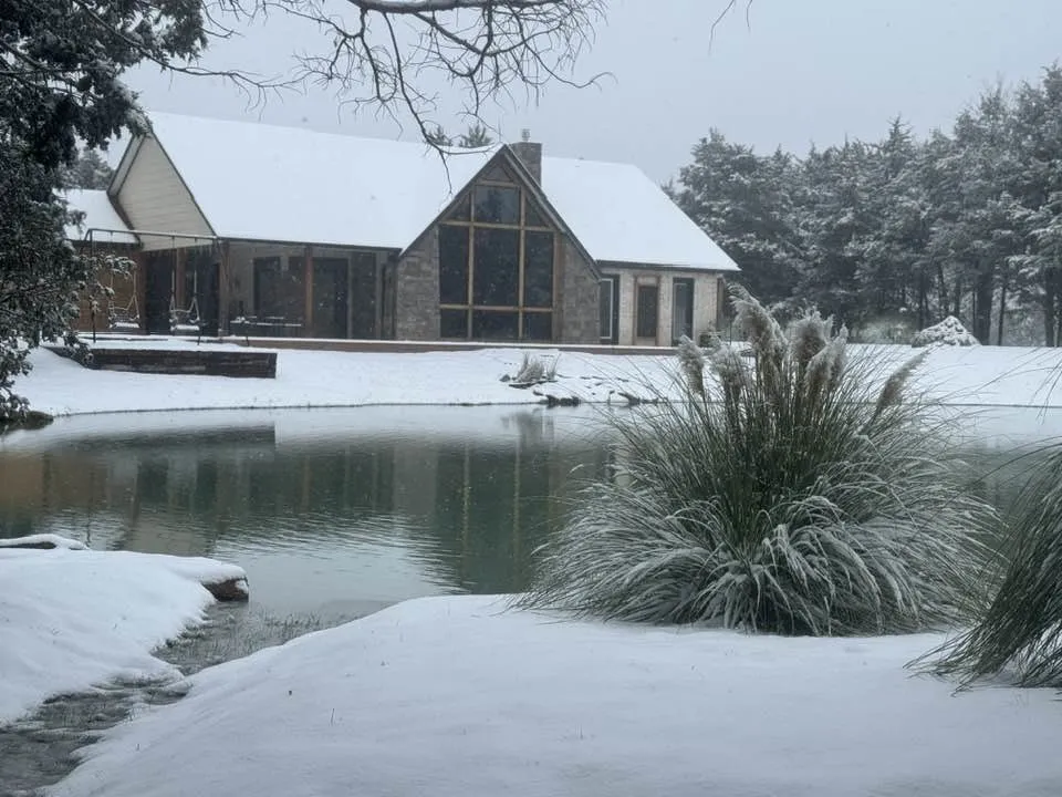 Winter-view