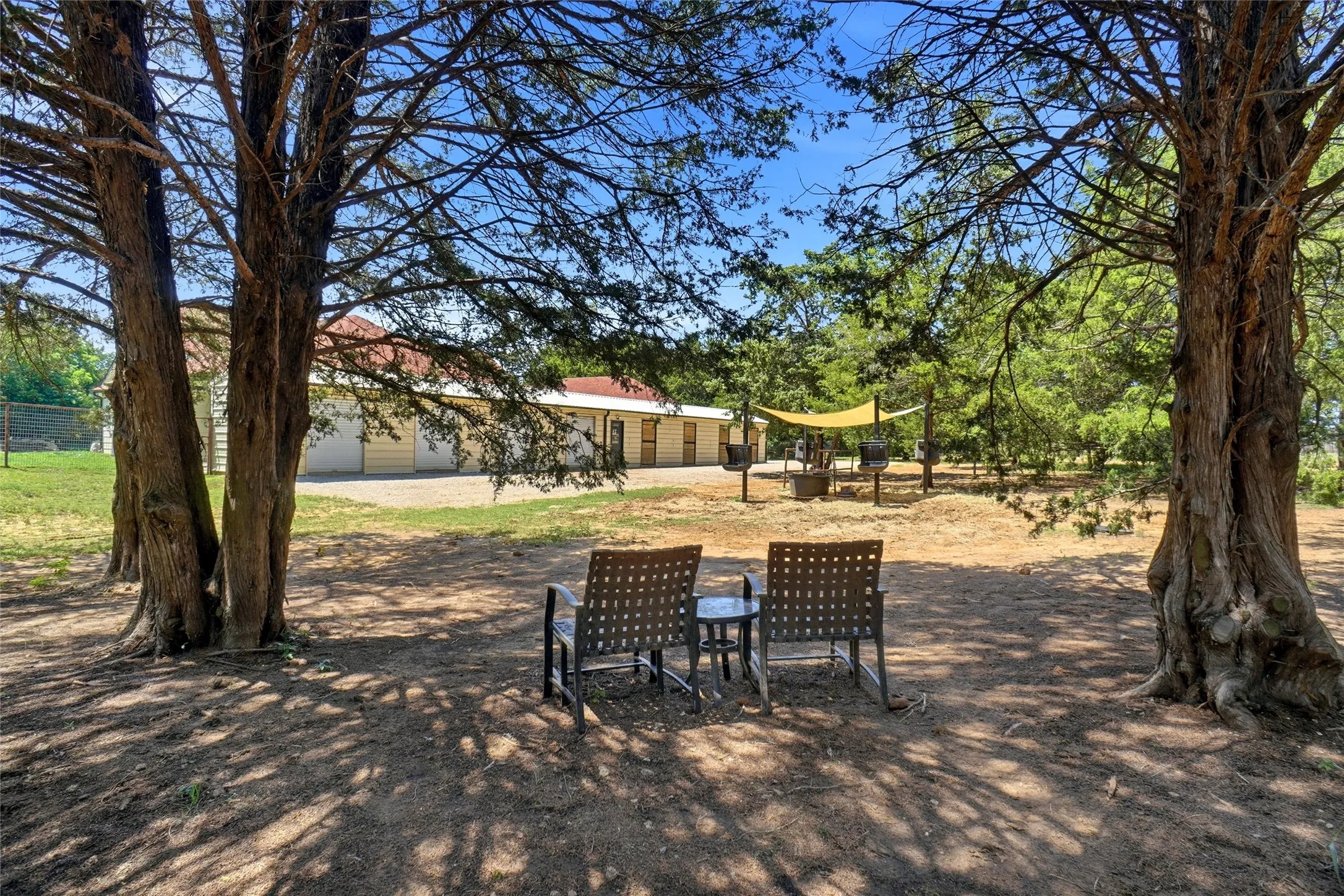 Place to relax between some trees