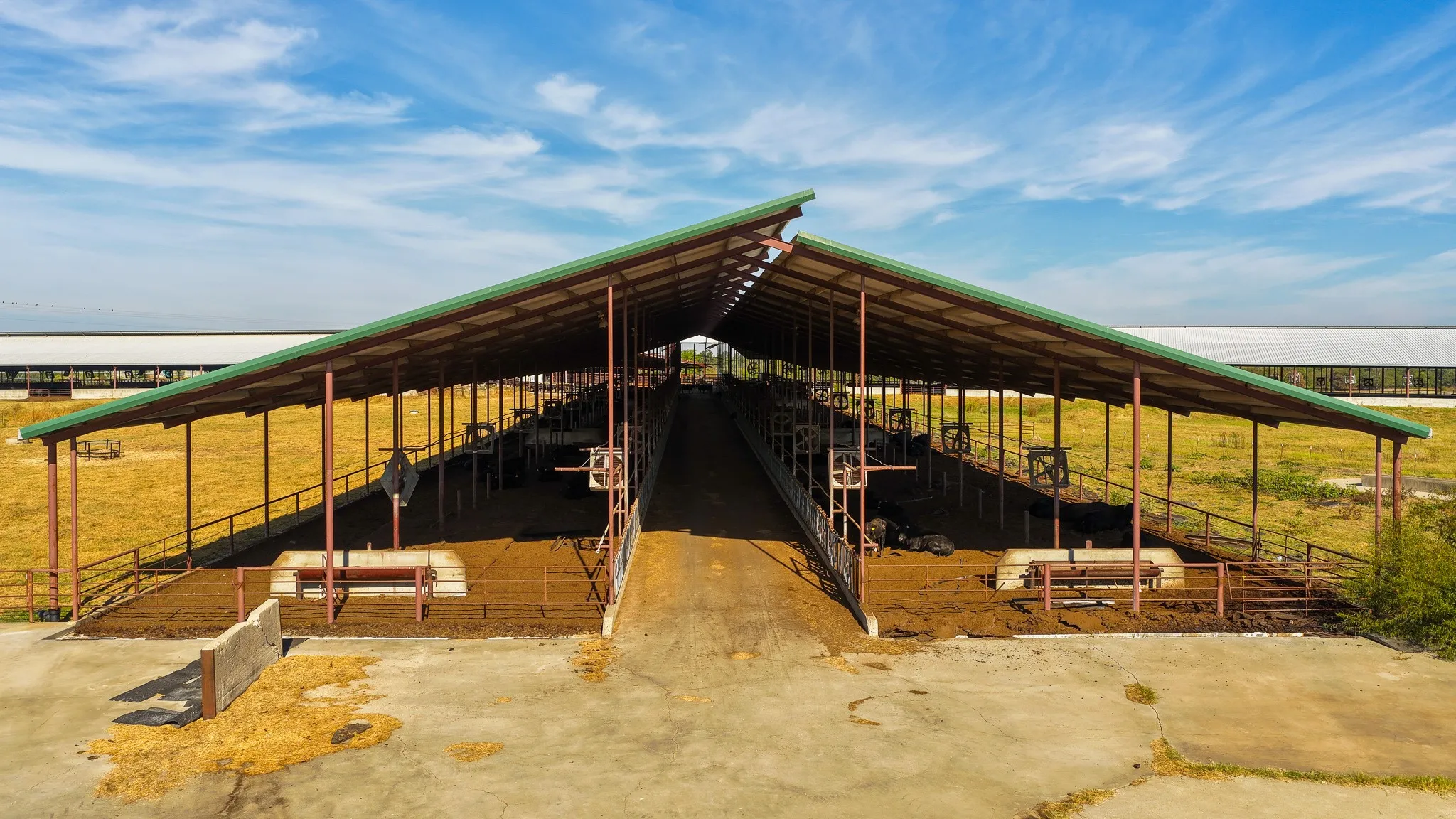 Ranch For Sale in Hopkins County , 925 County Road 2341, Sulphur Springs, Texas 75482, 0, 0, Garage spaces, 0 Sqft, built in 0, mls#21400423, Real Estate Agent in Sulphur Springs, Homes For Sale in Hopkins county, Homes For Sale in Sulphur Springs, Realtor in Sulphur Springs Texas, Real Estate Brokerage Independent Realty Texas, Luminita Cordes Realtor