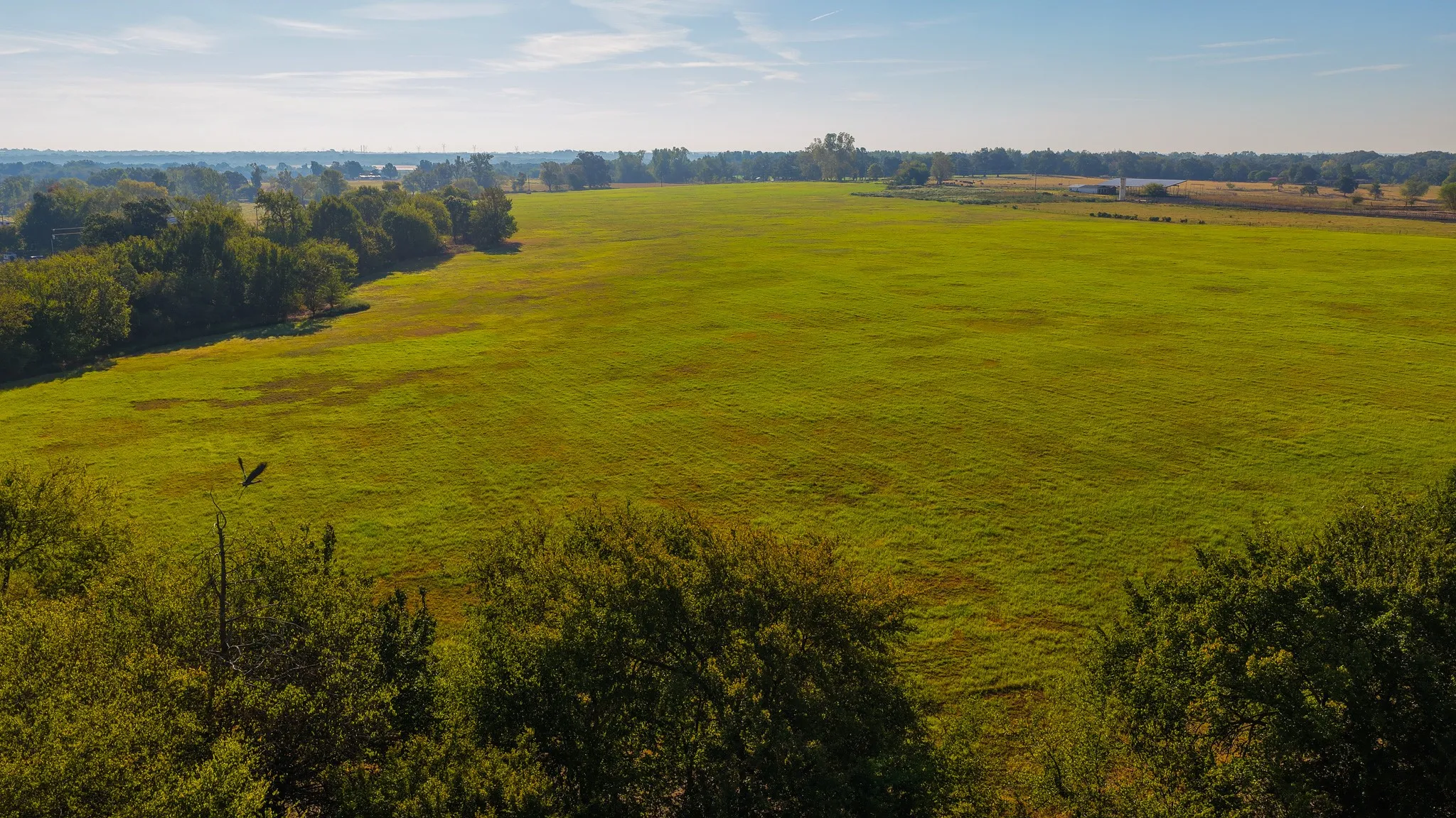 Ranch For Sale in Hopkins County , 925 County Road 2341, Sulphur Springs, Texas 75482, 0, 0, Garage spaces, 0 Sqft, built in 0, mls#21400423, Real Estate Agent in Sulphur Springs, Homes For Sale in Hopkins county, Homes For Sale in Sulphur Springs, Realtor in Sulphur Springs Texas, Real Estate Brokerage Independent Realty Texas, Luminita Cordes Realtor