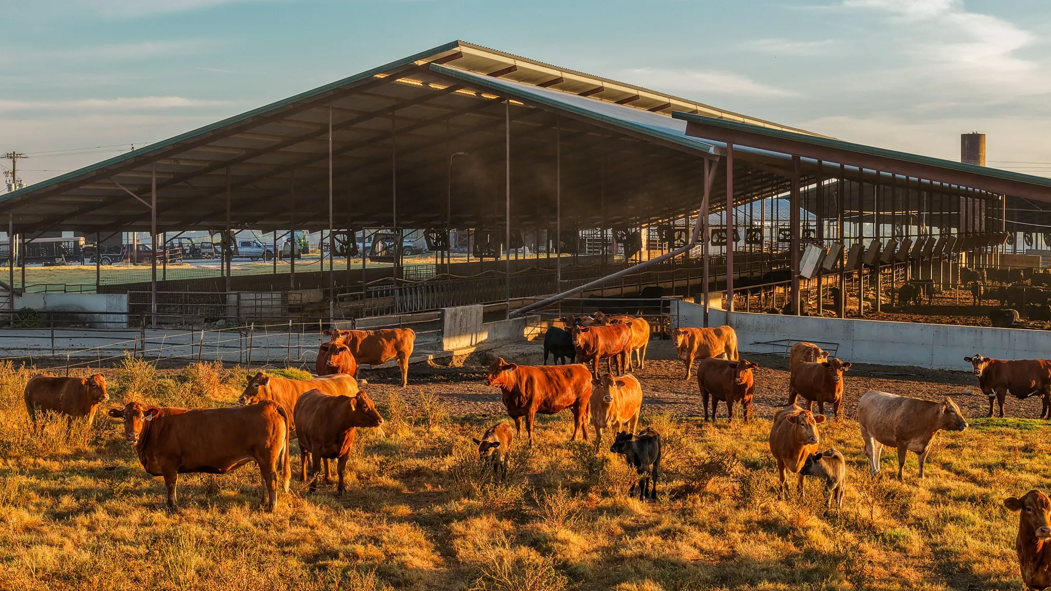 Ranch For Sale in Hopkins County , 925 County Road 2341, Sulphur Springs, Texas 75482, 0, 0, Garage spaces, 0 Sqft, built in 0, mls#21400423, Real Estate Agent in Sulphur Springs, Homes For Sale in Hopkins county, Homes For Sale in Sulphur Springs, Realtor in Sulphur Springs Texas, Real Estate Brokerage Independent Realty Texas, Luminita Cordes Realtor