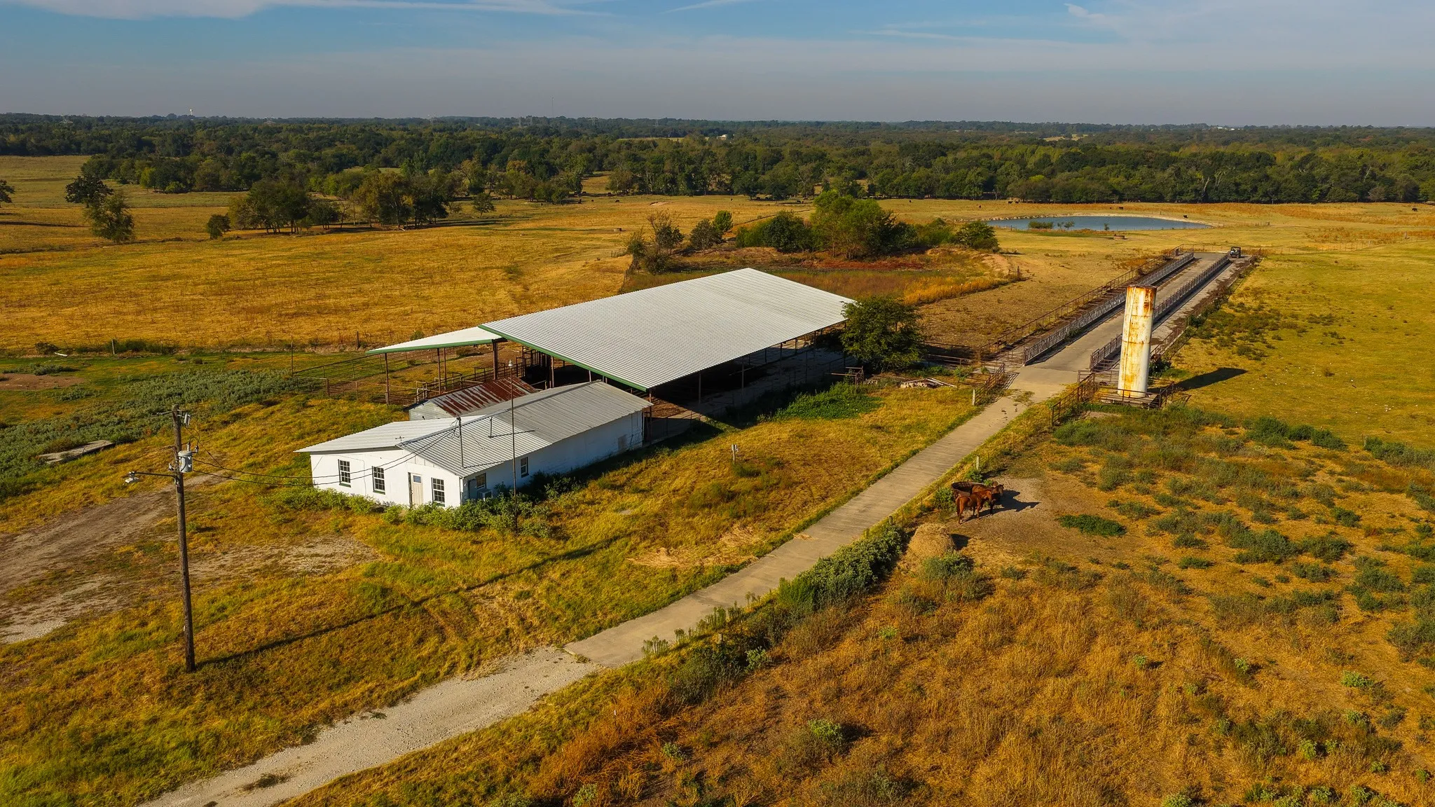 Ranch For Sale in Hopkins County , 925 County Road 2341, Sulphur Springs, Texas 75482, 0, 0, Garage spaces, 0 Sqft, built in 0, mls#21400423, Real Estate Agent in Sulphur Springs, Homes For Sale in Hopkins county, Homes For Sale in Sulphur Springs, Realtor in Sulphur Springs Texas, Real Estate Brokerage Independent Realty Texas, Luminita Cordes Realtor