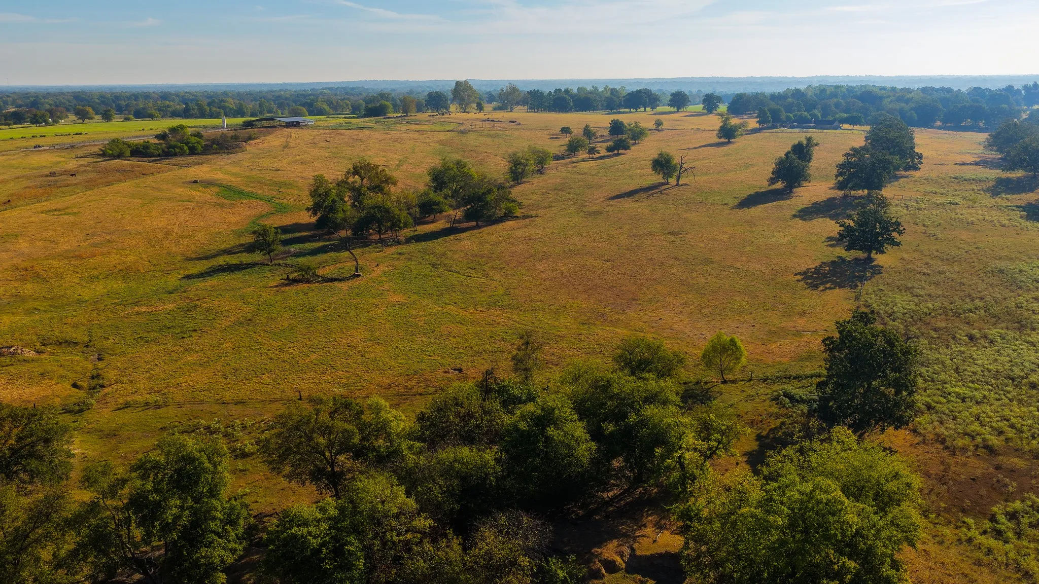 Ranch For Sale in Hopkins County , 925 County Road 2341, Sulphur Springs, Texas 75482, 0, 0, Garage spaces, 0 Sqft, built in 0, mls#21400423, Real Estate Agent in Sulphur Springs, Homes For Sale in Hopkins county, Homes For Sale in Sulphur Springs, Realtor in Sulphur Springs Texas, Real Estate Brokerage Independent Realty Texas, Luminita Cordes Realtor