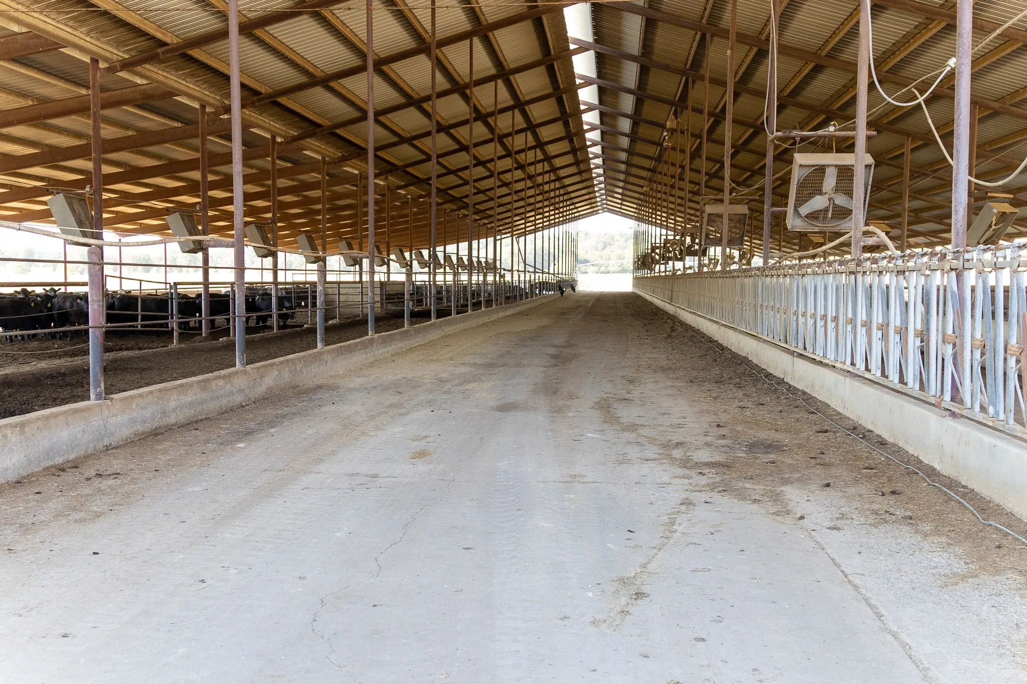 Ranch For Sale in Hopkins County , 925 County Road 2341, Sulphur Springs, Texas 75482, 0, 0, Garage spaces, 0 Sqft, built in 0, mls#21400423, Real Estate Agent in Sulphur Springs, Homes For Sale in Hopkins county, Homes For Sale in Sulphur Springs, Realtor in Sulphur Springs Texas, Real Estate Brokerage Independent Realty Texas, Luminita Cordes Realtor