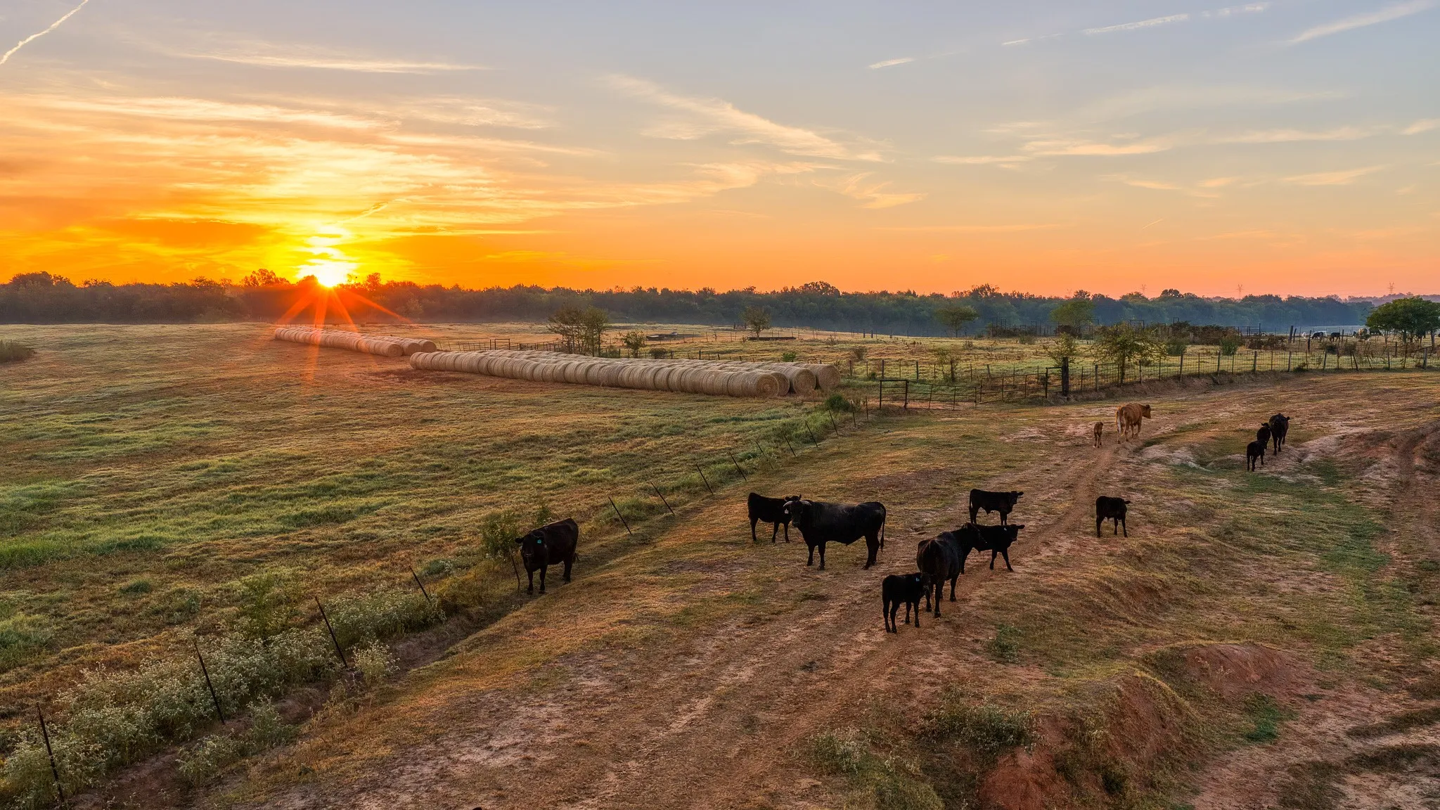 Ranch For Sale in Hopkins County , 925 County Road 2341, Sulphur Springs, Texas 75482, 0, 0, Garage spaces, 0 Sqft, built in 0, mls#21400423, Real Estate Agent in Sulphur Springs, Homes For Sale in Hopkins county, Homes For Sale in Sulphur Springs, Realtor in Sulphur Springs Texas, Real Estate Brokerage Independent Realty Texas, Luminita Cordes Realtor