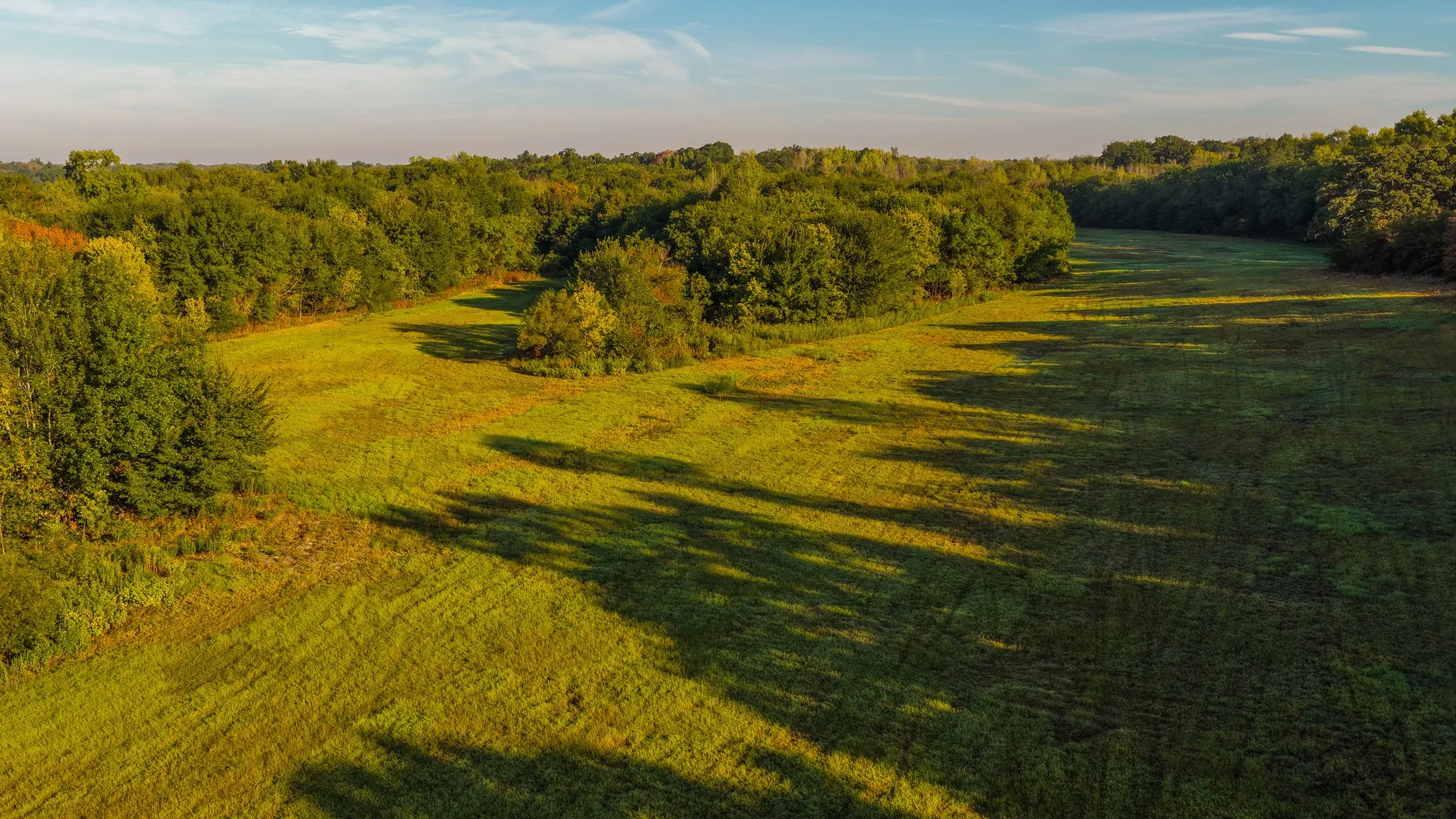 Ranch For Sale in Hopkins County , 925 County Road 2341, Sulphur Springs, Texas 75482, 0, 0, Garage spaces, 0 Sqft, built in 0, mls#21400423, Real Estate Agent in Sulphur Springs, Homes For Sale in Hopkins county, Homes For Sale in Sulphur Springs, Realtor in Sulphur Springs Texas, Real Estate Brokerage Independent Realty Texas, Luminita Cordes Realtor