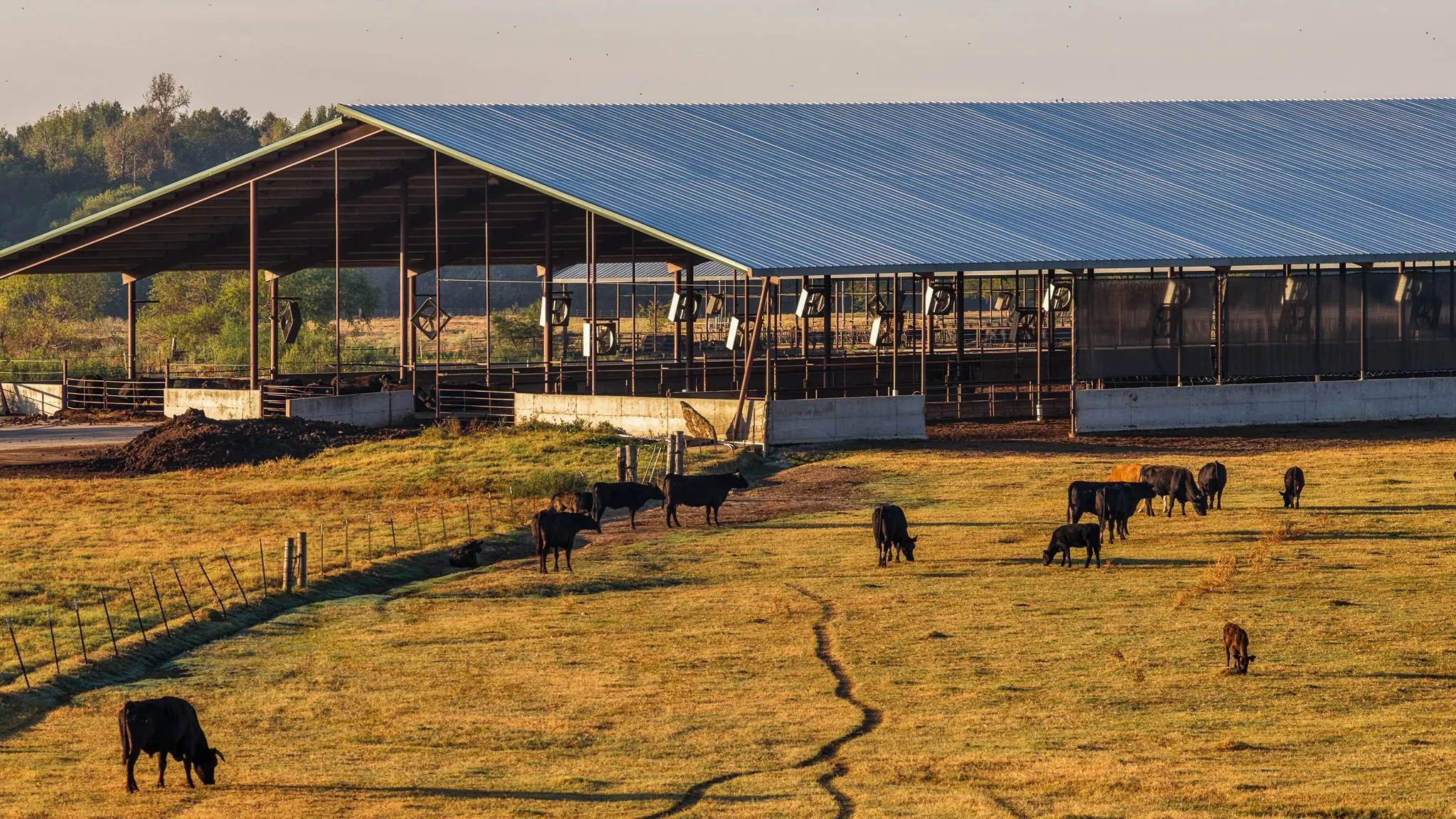 Ranch For Sale in Hopkins County , 925 County Road 2341, Sulphur Springs, Texas 75482, 0, 0, Garage spaces, 0 Sqft, built in 0, mls#21400423, Real Estate Agent in Sulphur Springs, Homes For Sale in Hopkins county, Homes For Sale in Sulphur Springs, Realtor in Sulphur Springs Texas, Real Estate Brokerage Independent Realty Texas, Luminita Cordes Realtor