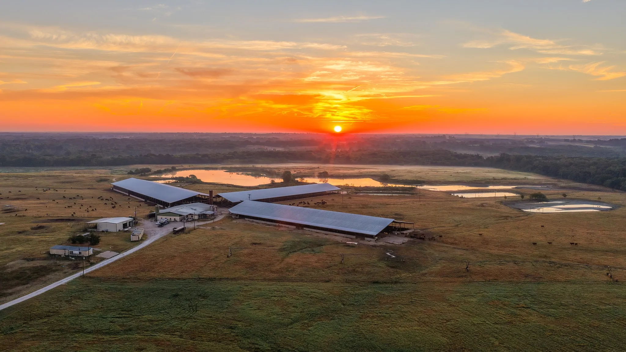 Ranch For Sale in Hopkins County , 925 County Road 2341, Sulphur Springs, Texas 75482, 0, 0, Garage spaces, 0 Sqft, built in 0, mls#21400423, Real Estate Agent in Sulphur Springs, Homes For Sale in Hopkins county, Homes For Sale in Sulphur Springs, Realtor in Sulphur Springs Texas, Real Estate Brokerage Independent Realty Texas, Luminita Cordes Realtor