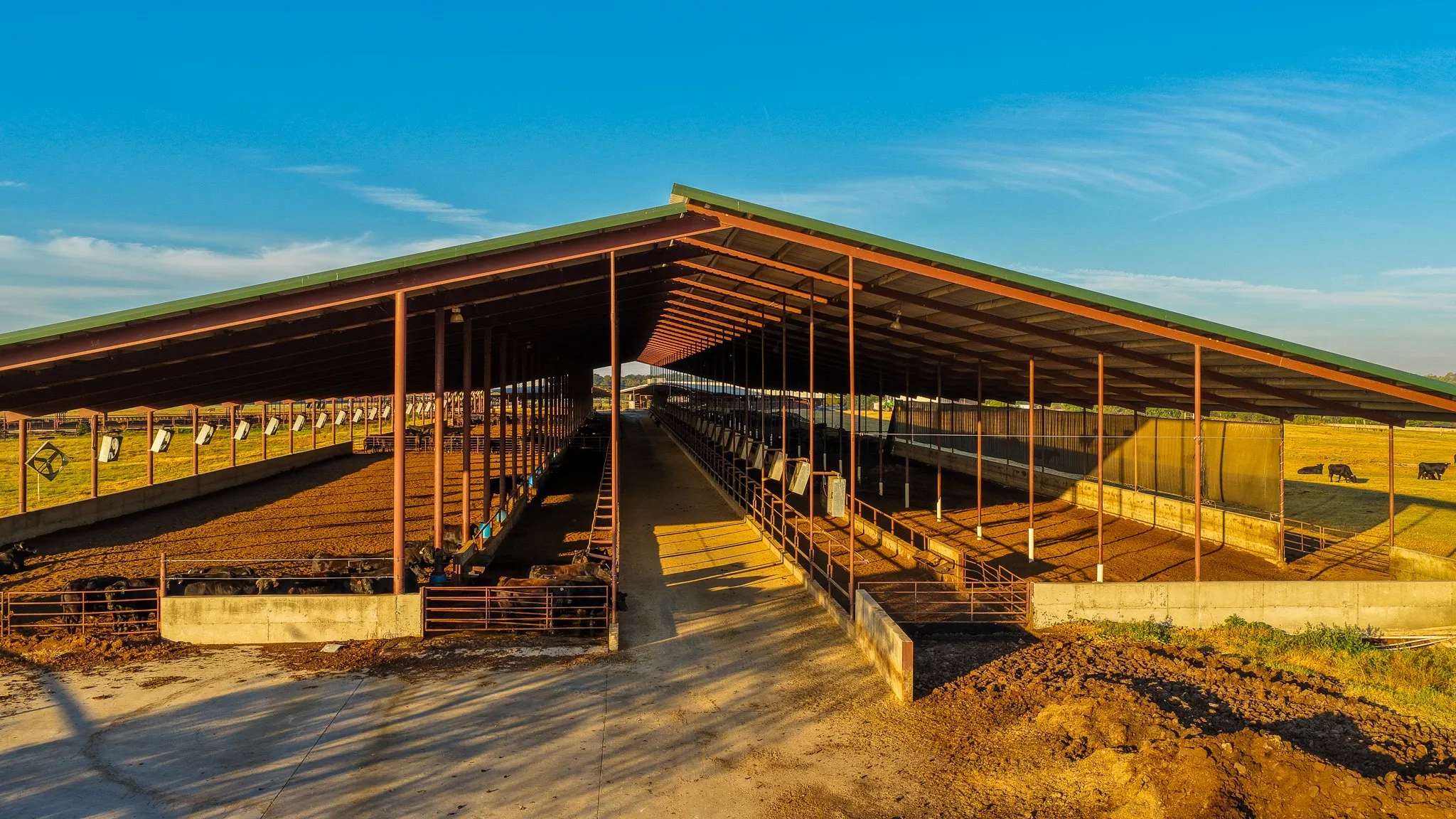 Ranch For Sale in Hopkins County , 925 County Road 2341, Sulphur Springs, Texas 75482, 0, 0, Garage spaces, 0 Sqft, built in 0, mls#21400423, Real Estate Agent in Sulphur Springs, Homes For Sale in Hopkins county, Homes For Sale in Sulphur Springs, Realtor in Sulphur Springs Texas, Real Estate Brokerage Independent Realty Texas, Luminita Cordes Realtor