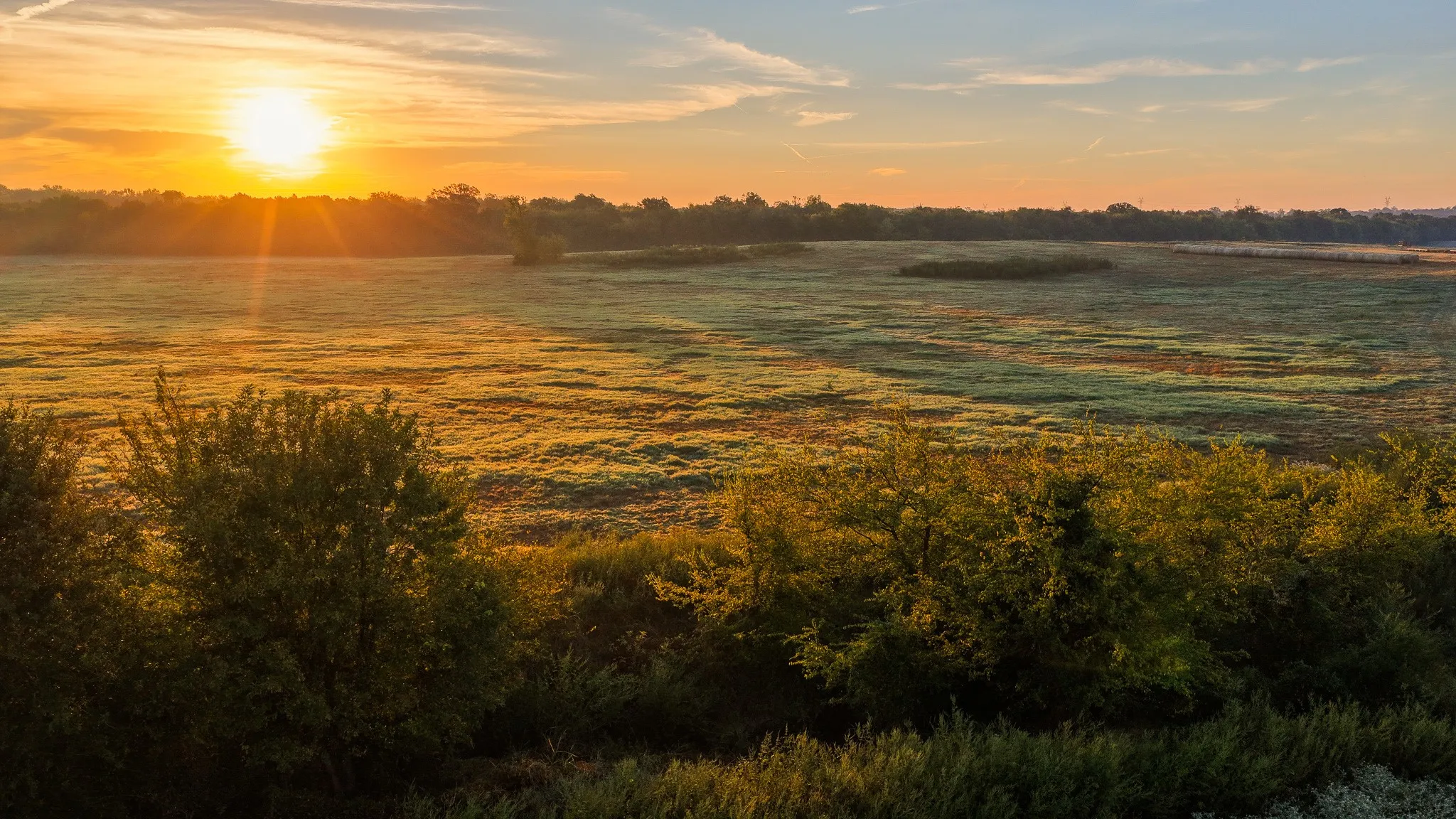 Ranch For Sale in Hopkins County , 925 County Road 2341, Sulphur Springs, Texas 75482, 0, 0, Garage spaces, 0 Sqft, built in 0, mls#21400423, Real Estate Agent in Sulphur Springs, Homes For Sale in Hopkins county, Homes For Sale in Sulphur Springs, Realtor in Sulphur Springs Texas, Real Estate Brokerage Independent Realty Texas, Luminita Cordes Realtor