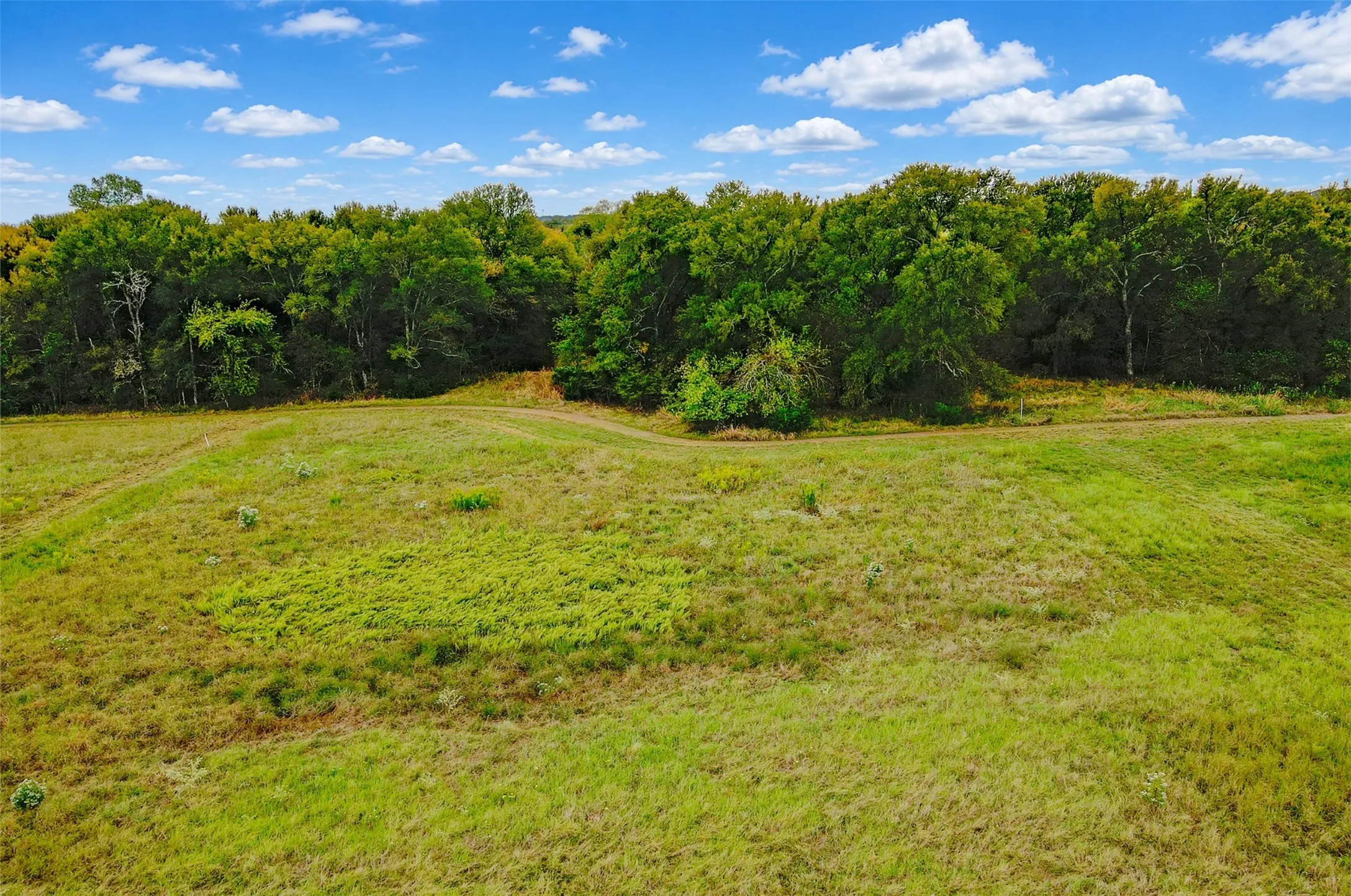 Unimproved Land For Sale in Van Zandt County , 2599 VZ County Road 3820, Wills Point, Texas 75169, 0, 0, Garage spaces, 0 Sqft, built in 0, mls#21401028, Real Estate Agent in Wills Point, Homes For Sale in Van Zandt county, Homes For Sale in Wills Point, Realtor in Wills Point Texas, Real Estate Brokerage Independent Realty Texas, Luminita Cordes Realtor