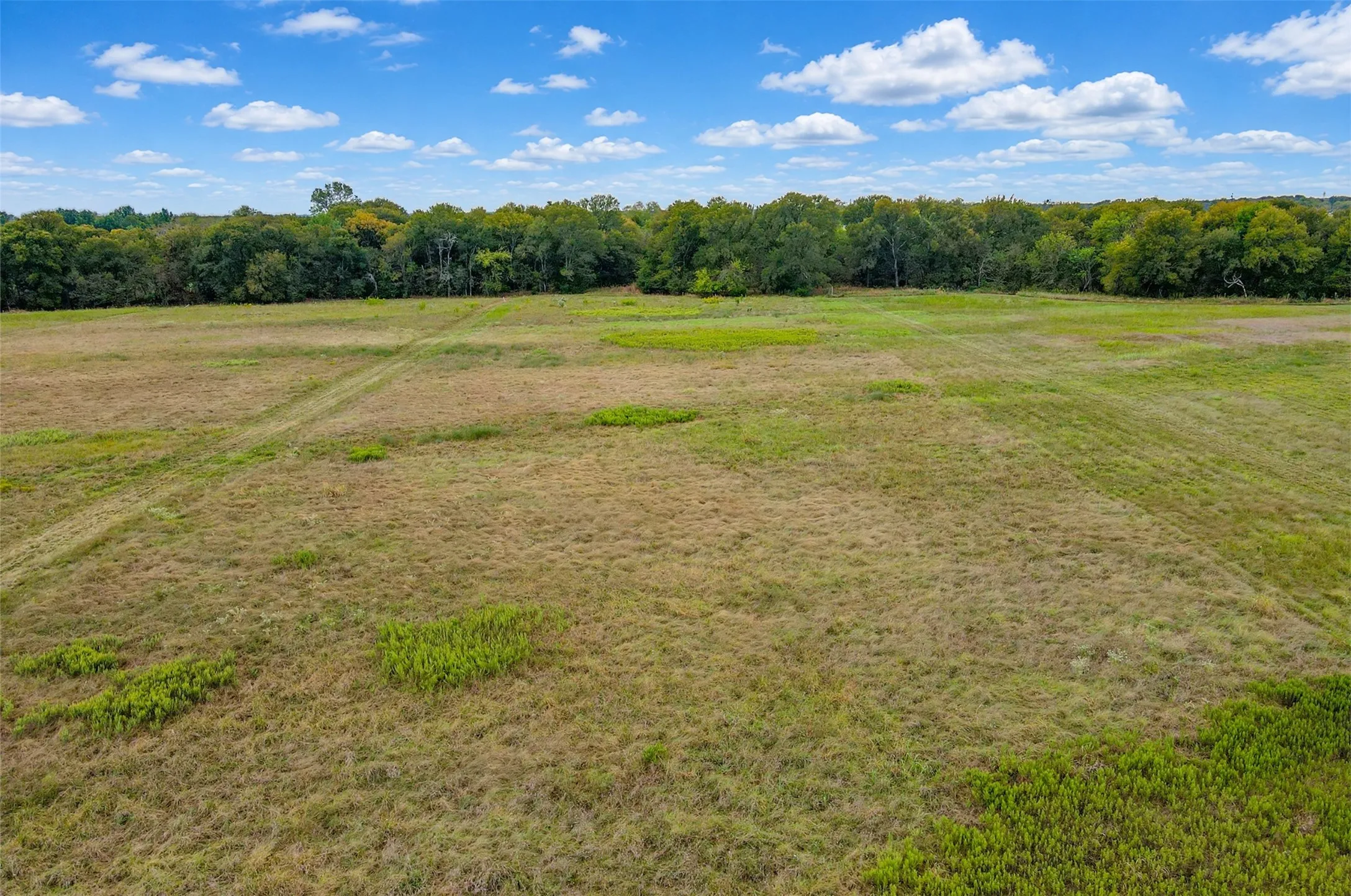 Unimproved Land For Sale in Van Zandt County , 2599 VZ County Road 3820, Wills Point, Texas 75169, 0, 0, Garage spaces, 0 Sqft, built in 0, mls#21401028, Real Estate Agent in Wills Point, Homes For Sale in Van Zandt county, Homes For Sale in Wills Point, Realtor in Wills Point Texas, Real Estate Brokerage Independent Realty Texas, Luminita Cordes Realtor