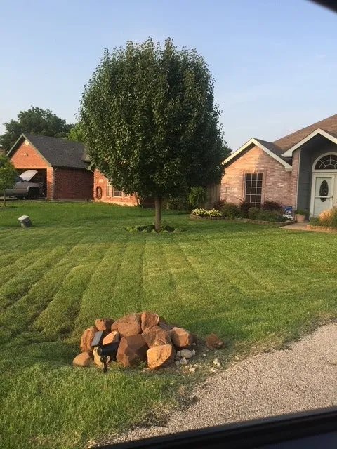 Perfect lawn
