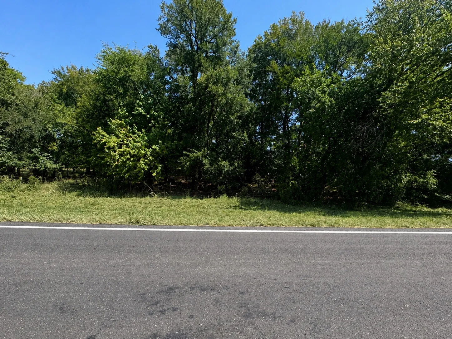 Unimproved Land For Sale in Lamar County , 000 Lot 15 FM 79, Sumner, Texas 75486, 0, 0, Garage spaces, 0 Sqft, built in 0, mls#21401026, Real Estate Agent in Sumner, Homes For Sale in Lamar county, Homes For Sale in Sumner, Realtor in Sumner Texas, Real Estate Brokerage Independent Realty Texas, Luminita Cordes Realtor