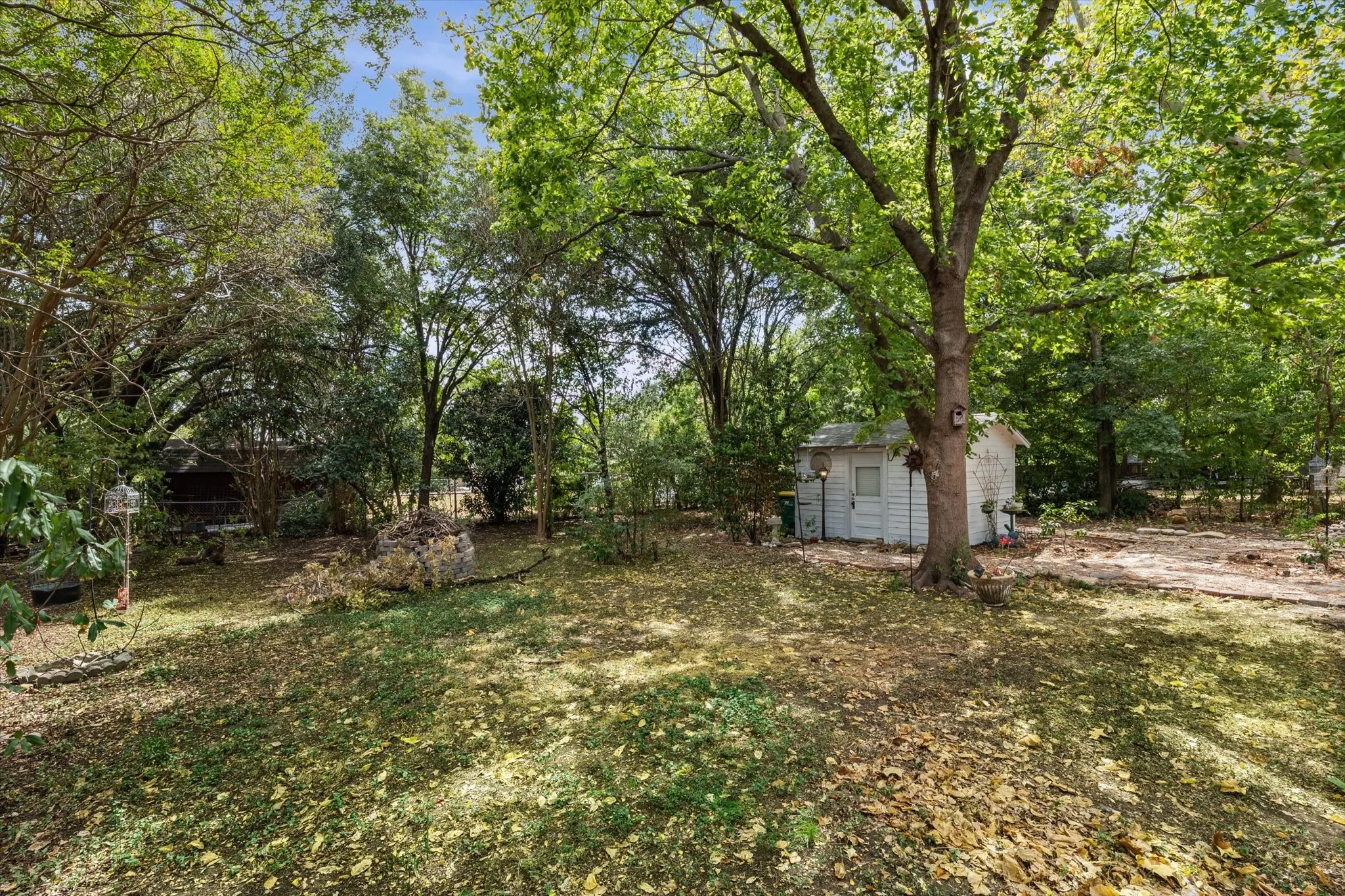 Mature trees, a utility shed, and a natural landscape