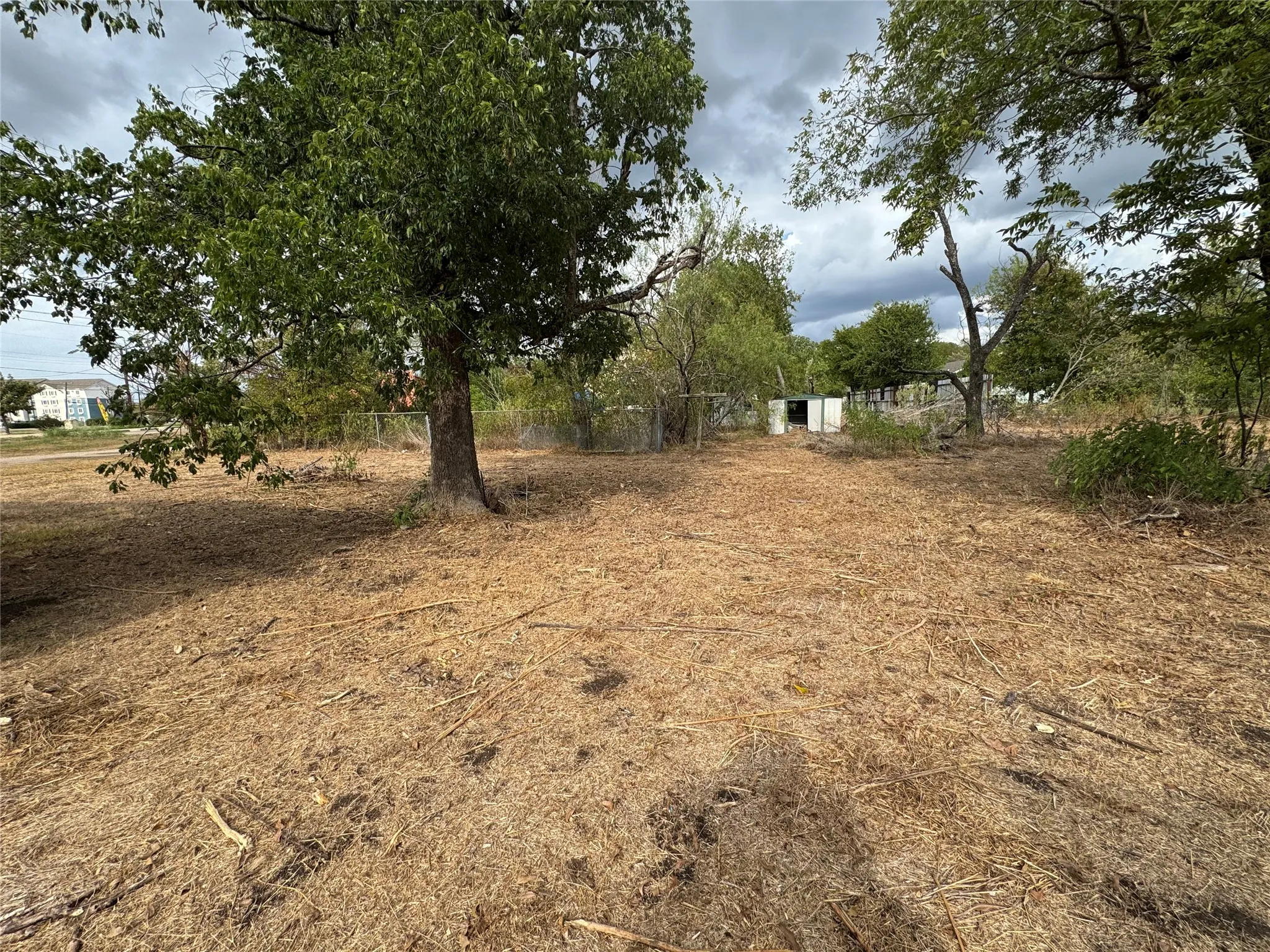 Mature trees and open land with visible fencing