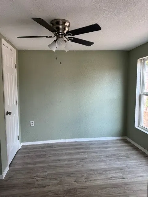Wood-finish flooring with light green walls