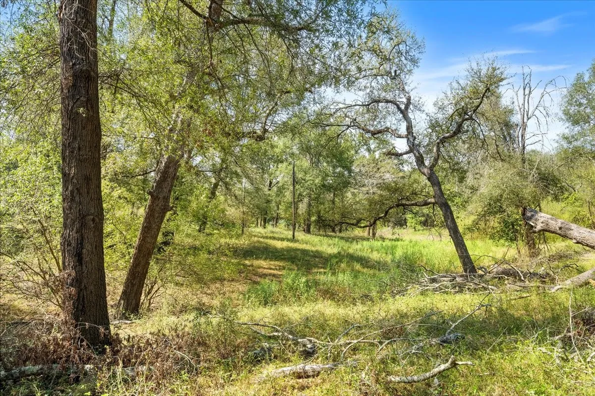 Improved Land For Sale in Leon County , 0 Private Road 1235, Centerville, Texas 75833, 0, 0, Garage spaces, 0 Sqft, built in 2016, mls#21400987, Real Estate Agent in Centerville, Homes For Sale in Leon county, Homes For Sale in Centerville, Realtor in Centerville Texas, Real Estate Brokerage Independent Realty Texas, Luminita Cordes Realtor