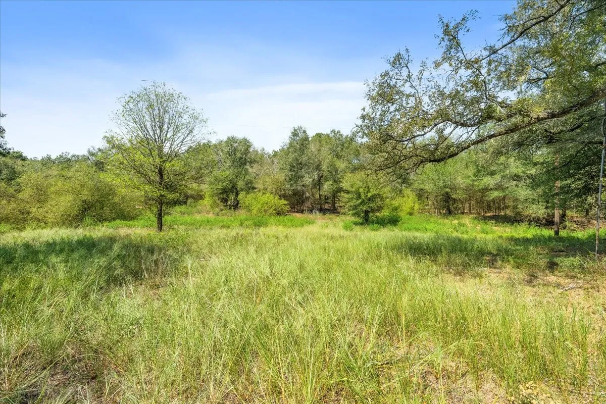 Improved Land For Sale in Leon County , 0 Private Road 1235, Centerville, Texas 75833, 0, 0, Garage spaces, 0 Sqft, built in 2016, mls#21400987, Real Estate Agent in Centerville, Homes For Sale in Leon county, Homes For Sale in Centerville, Realtor in Centerville Texas, Real Estate Brokerage Independent Realty Texas, Luminita Cordes Realtor