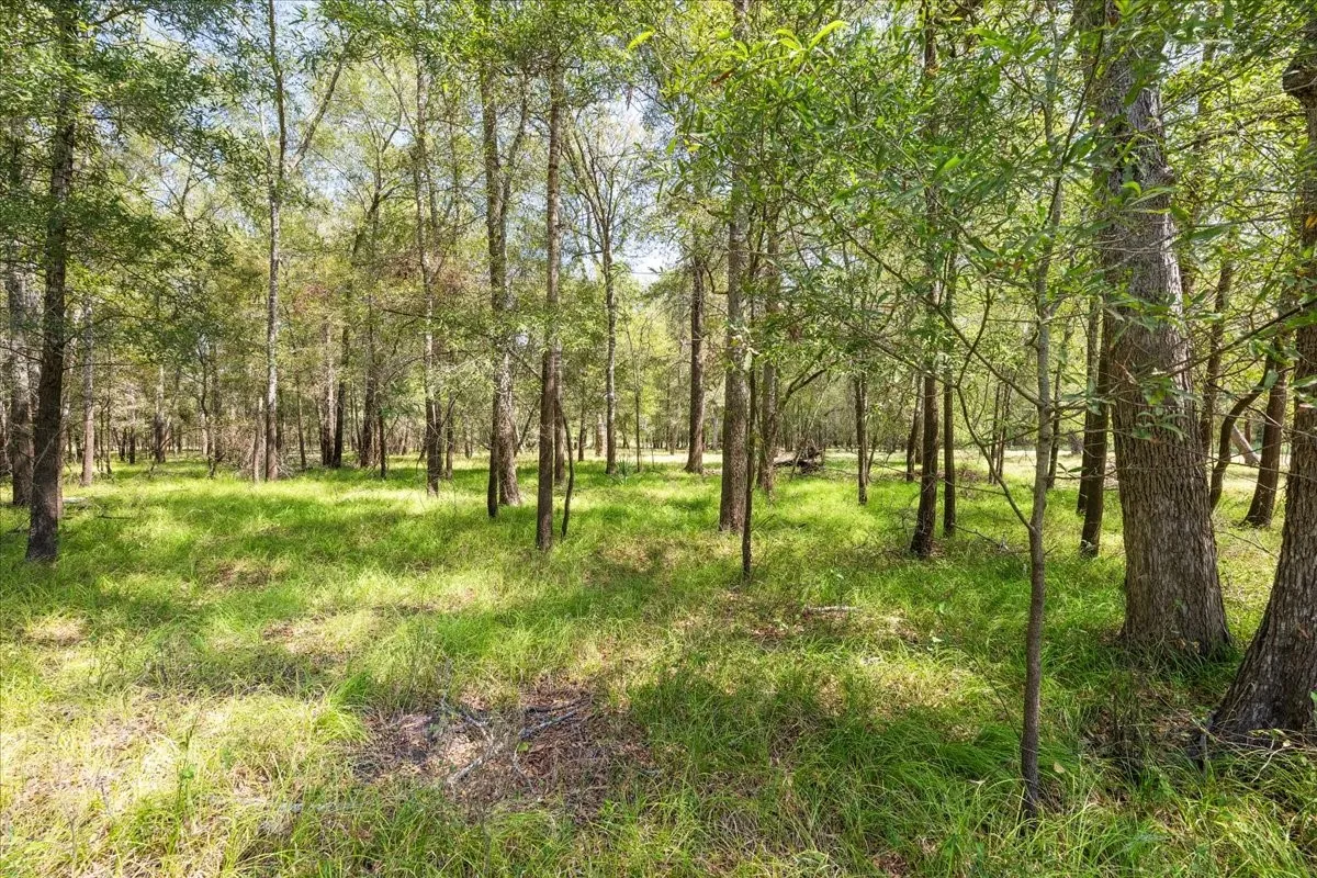 Improved Land For Sale in Leon County , 0 Private Road 1235, Centerville, Texas 75833, 0, 0, Garage spaces, 0 Sqft, built in 2016, mls#21400987, Real Estate Agent in Centerville, Homes For Sale in Leon county, Homes For Sale in Centerville, Realtor in Centerville Texas, Real Estate Brokerage Independent Realty Texas, Luminita Cordes Realtor