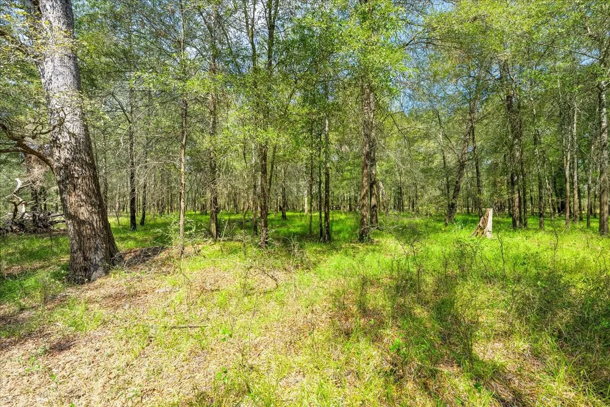 Improved Land For Sale in Leon County , 0 Private Road 1235, Centerville, Texas 75833, 0, 0, Garage spaces, 0 Sqft, built in 2016, mls#21400987, Real Estate Agent in Centerville, Homes For Sale in Leon county, Homes For Sale in Centerville, Realtor in Centerville Texas, Real Estate Brokerage Independent Realty Texas, Luminita Cordes Realtor