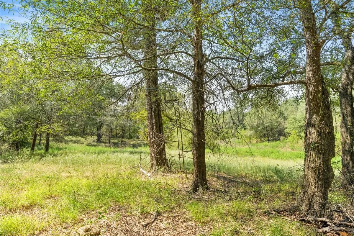 Improved Land For Sale in Leon County , 0 Private Road 1235, Centerville, Texas 75833, 0, 0, Garage spaces, 0 Sqft, built in 2016, mls#21400987, Real Estate Agent in Centerville, Homes For Sale in Leon county, Homes For Sale in Centerville, Realtor in Centerville Texas, Real Estate Brokerage Independent Realty Texas, Luminita Cordes Realtor