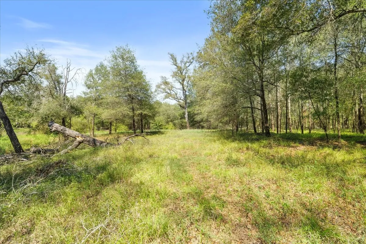 Improved Land For Sale in Leon County , 0 Private Road 1235, Centerville, Texas 75833, 0, 0, Garage spaces, 0 Sqft, built in 2016, mls#21400987, Real Estate Agent in Centerville, Homes For Sale in Leon county, Homes For Sale in Centerville, Realtor in Centerville Texas, Real Estate Brokerage Independent Realty Texas, Luminita Cordes Realtor