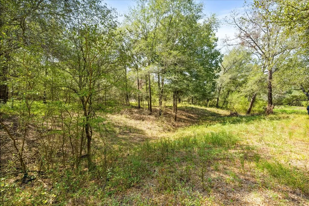 Improved Land For Sale in Leon County , 0 Private Road 1235, Centerville, Texas 75833, 0, 0, Garage spaces, 0 Sqft, built in 2016, mls#21400987, Real Estate Agent in Centerville, Homes For Sale in Leon county, Homes For Sale in Centerville, Realtor in Centerville Texas, Real Estate Brokerage Independent Realty Texas, Luminita Cordes Realtor