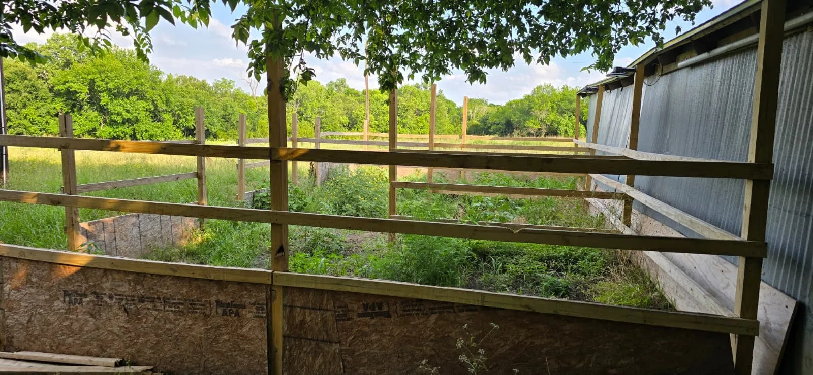 Single Family Residence For Rent in Fannin County , 2267 County Road 3025, Bonham, Texas 75418, 3 Bedroom, 2 Bathroom, 1 Garage spaces, 2,132 Sqft, built in 2001, mls#21401076, Real Estate Agent in Bonham, Homes For Rent in Fannin county, Homes For Rent in Bonham, Realtor in Bonham Texas, Real Estate Brokerage Independent Realty Texas, Luminita Cordes Realtor