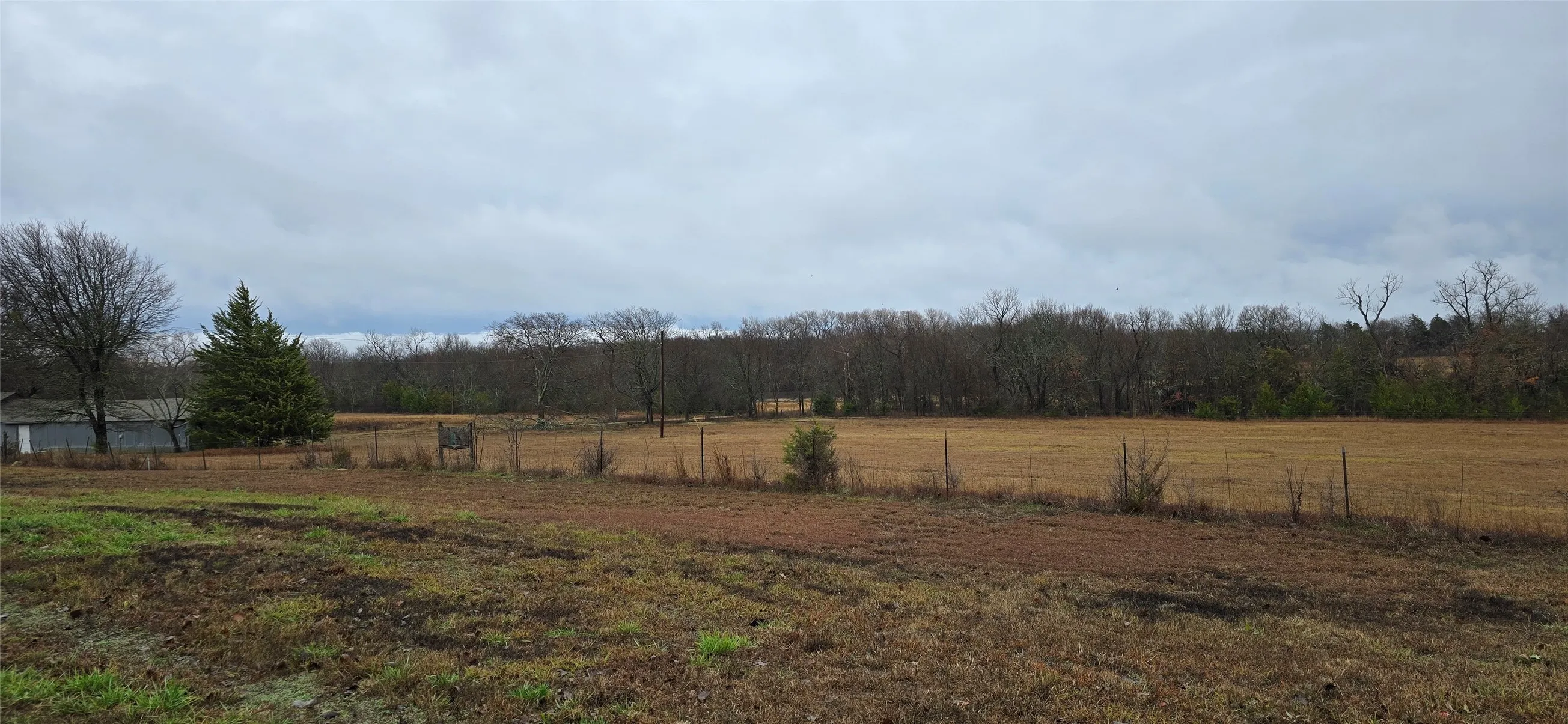 Expansive open field with scattered trees and perimeter fencing