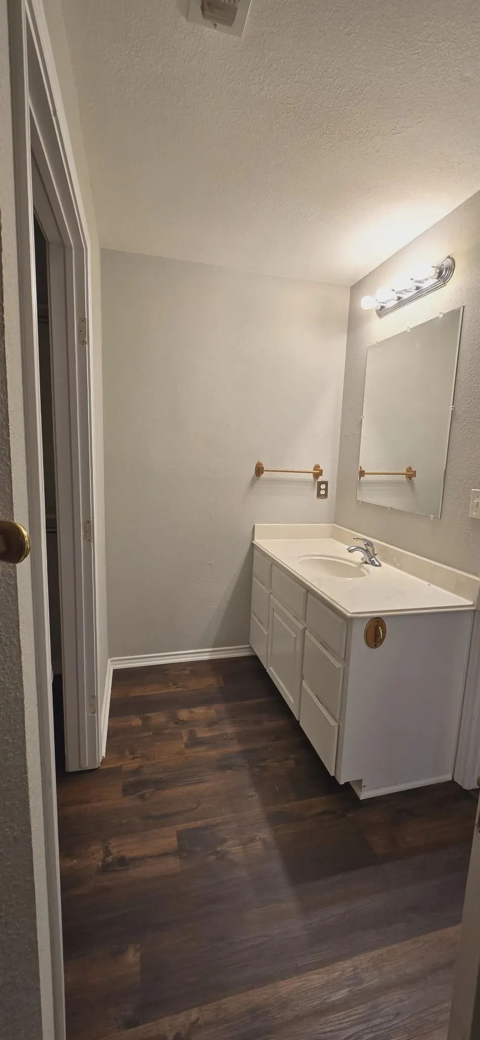 Spacious vanity with an integrated sink, ample storage cabinetry, wall-mounted mirror, and wood-finish flooring