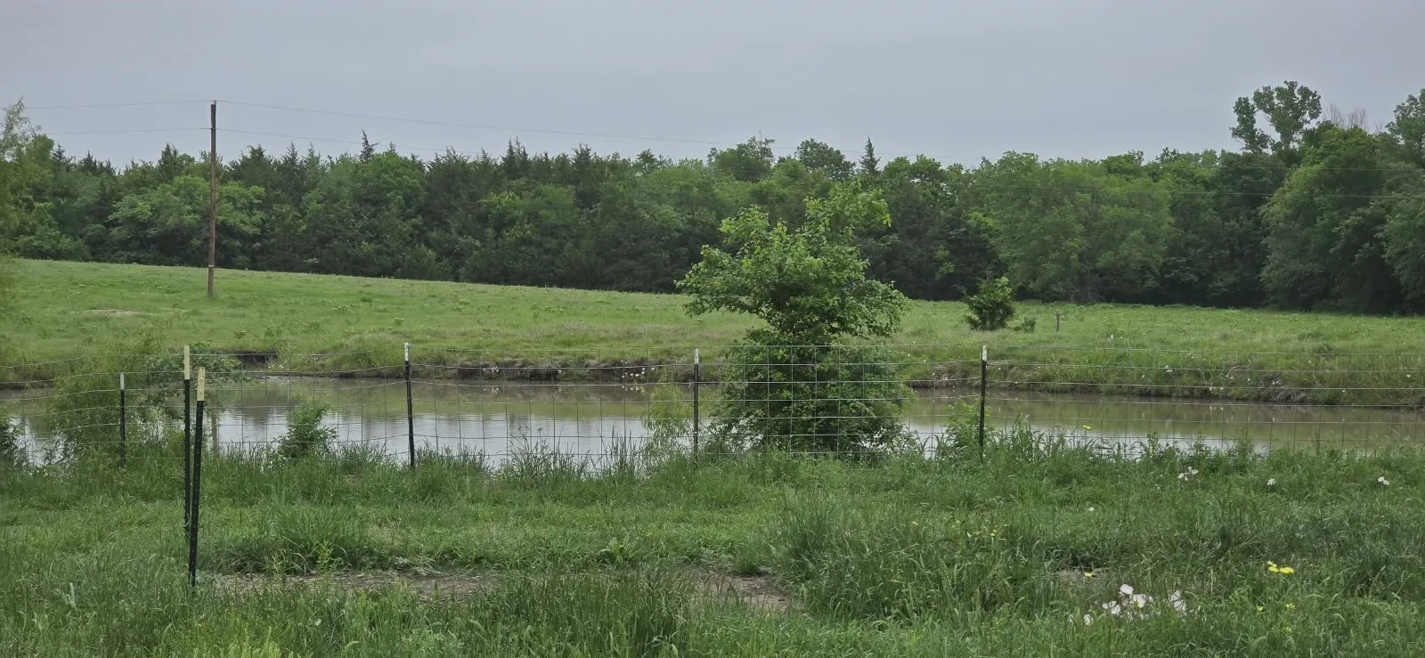 Expansive open land featuring a pond, mature trees, and natural grassland