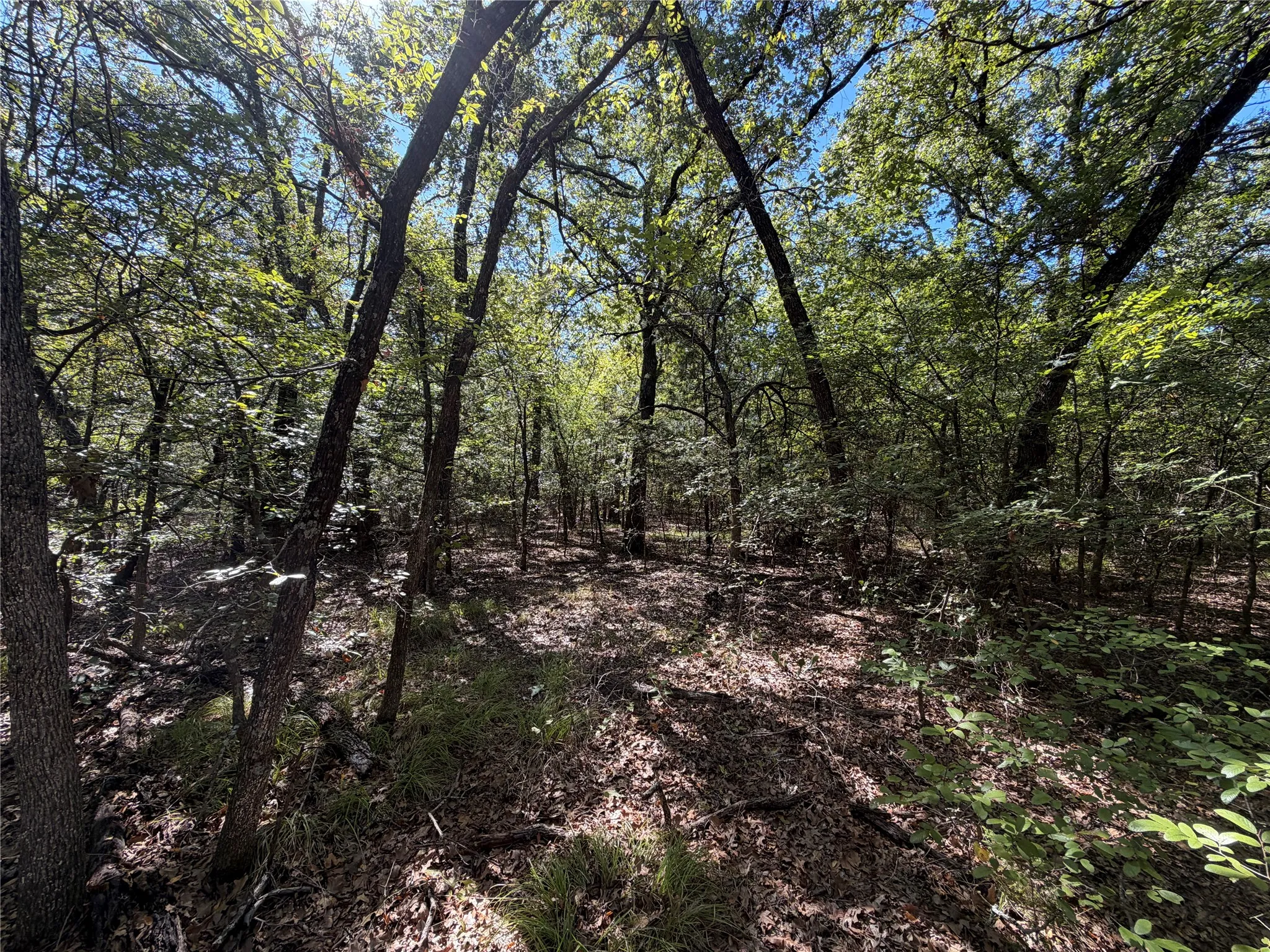 Unimproved Land For Sale in Kaufman County , 0 R and R Circle Lot 12, Kemp, Texas 75143, 0, 0, Garage spaces, 0 Sqft, built in 0, mls#21401023, Real Estate Agent in Kemp, Homes For Sale in Kaufman county, Homes For Sale in Kemp, Realtor in Kemp Texas, Real Estate Brokerage Independent Realty Texas, Luminita Cordes Realtor