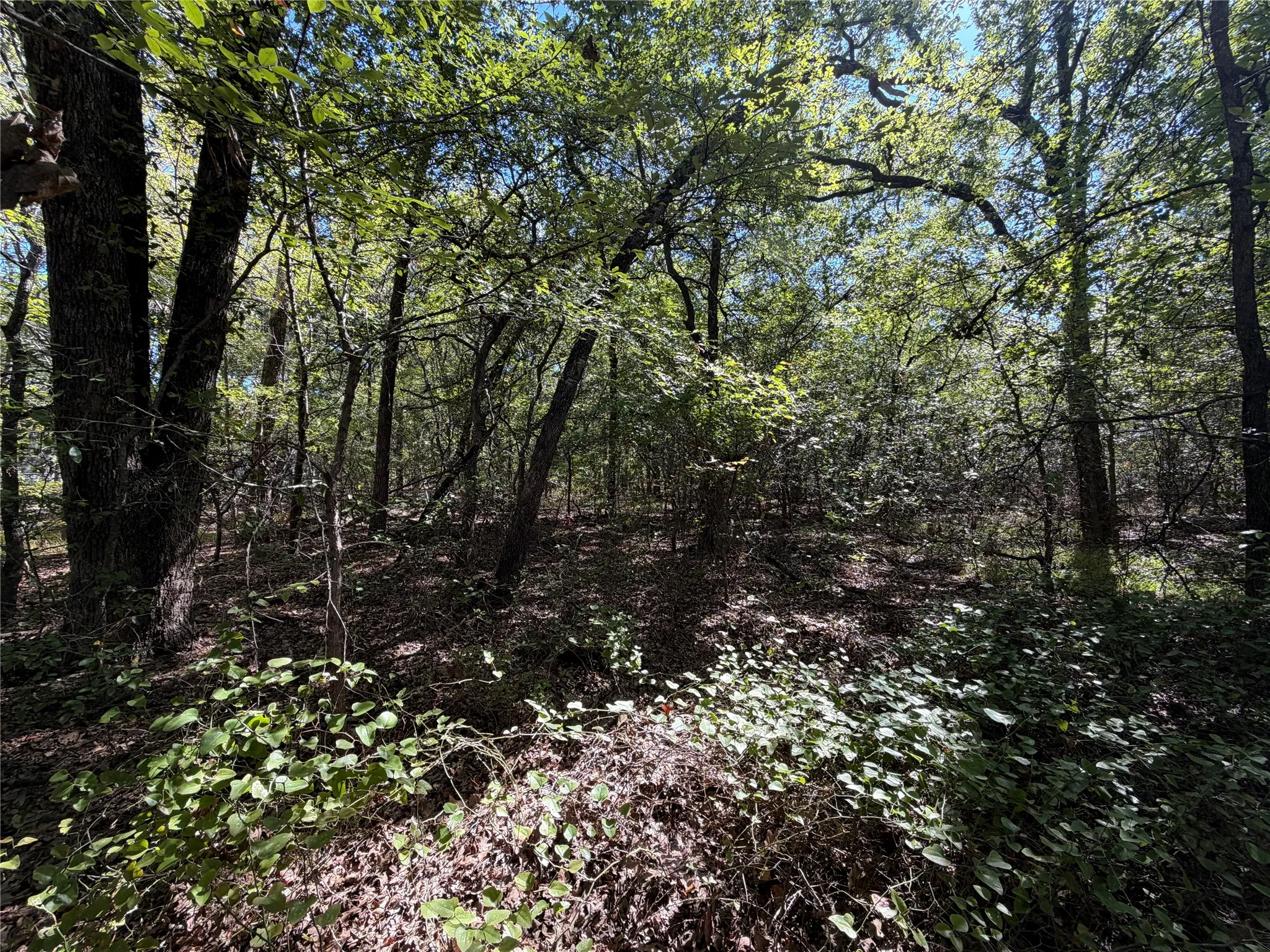 Unimproved Land For Sale in Kaufman County , 0 R and R Circle Lot 12, Kemp, Texas 75143, 0, 0, Garage spaces, 0 Sqft, built in 0, mls#21401023, Real Estate Agent in Kemp, Homes For Sale in Kaufman county, Homes For Sale in Kemp, Realtor in Kemp Texas, Real Estate Brokerage Independent Realty Texas, Luminita Cordes Realtor