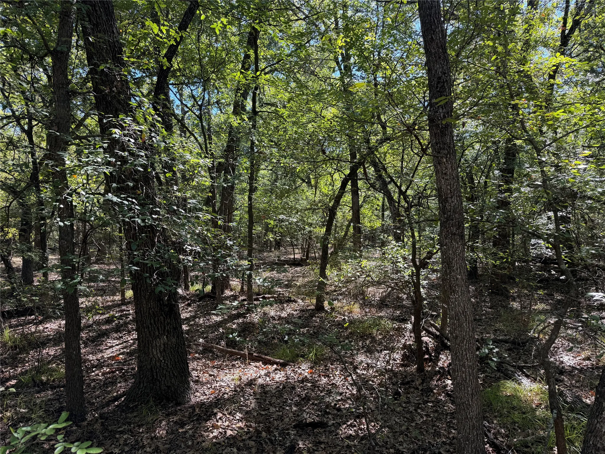 Unimproved Land For Sale in Kaufman County , 0 R and R Circle Lot 12, Kemp, Texas 75143, 0, 0, Garage spaces, 0 Sqft, built in 0, mls#21401023, Real Estate Agent in Kemp, Homes For Sale in Kaufman county, Homes For Sale in Kemp, Realtor in Kemp Texas, Real Estate Brokerage Independent Realty Texas, Luminita Cordes Realtor