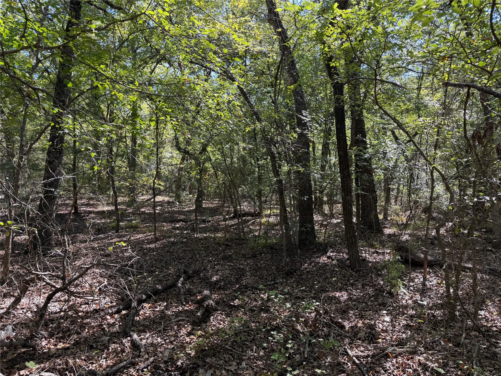Unimproved Land For Sale in Kaufman County , 0 R and R Circle Lot 12, Kemp, Texas 75143, 0, 0, Garage spaces, 0 Sqft, built in 0, mls#21401023, Real Estate Agent in Kemp, Homes For Sale in Kaufman county, Homes For Sale in Kemp, Realtor in Kemp Texas, Real Estate Brokerage Independent Realty Texas, Luminita Cordes Realtor