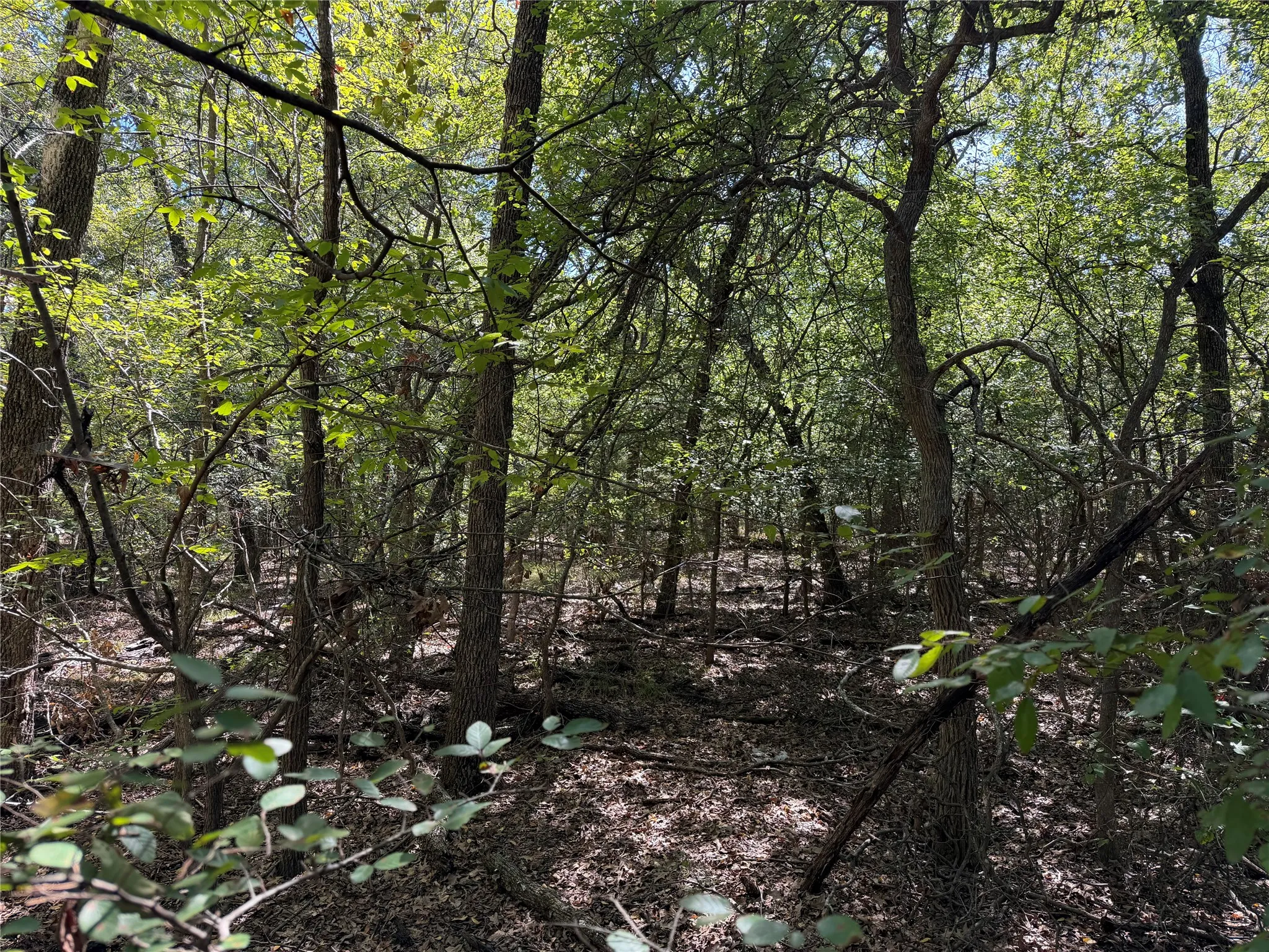 Unimproved Land For Sale in Kaufman County , 0 R and R Circle Lot 12, Kemp, Texas 75143, 0, 0, Garage spaces, 0 Sqft, built in 0, mls#21401023, Real Estate Agent in Kemp, Homes For Sale in Kaufman county, Homes For Sale in Kemp, Realtor in Kemp Texas, Real Estate Brokerage Independent Realty Texas, Luminita Cordes Realtor