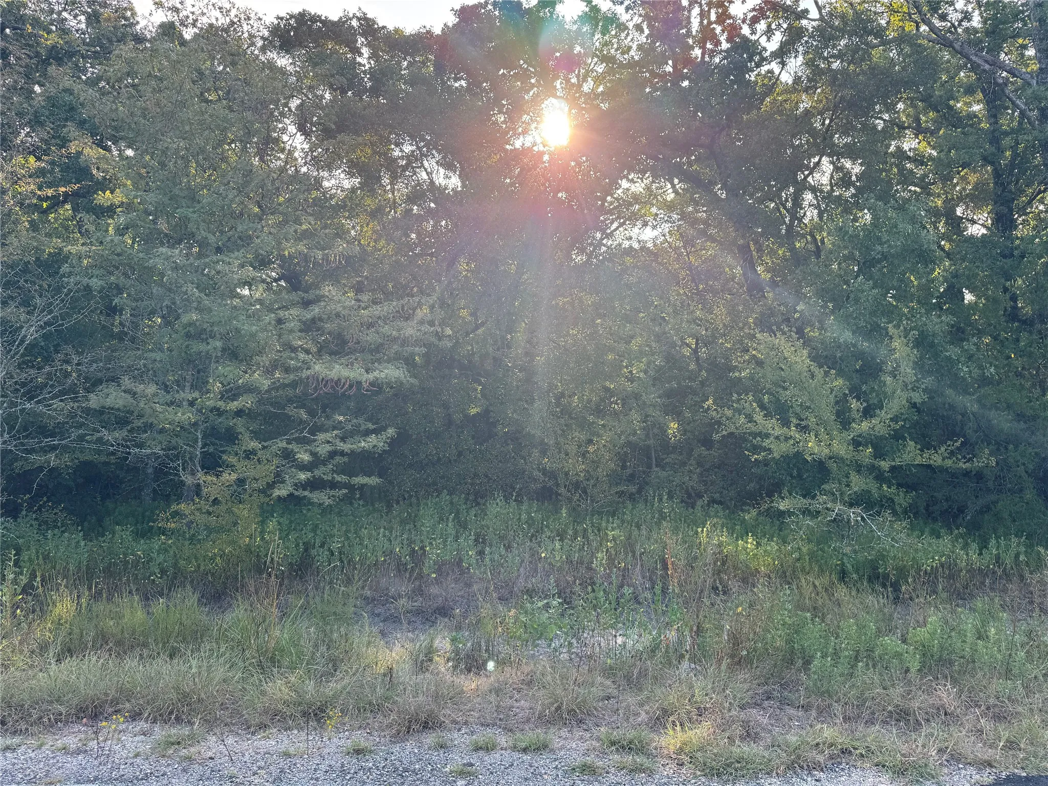 Unimproved Land For Sale in Kaufman County , 0 R and R Circle Lot 12, Kemp, Texas 75143, 0, 0, Garage spaces, 0 Sqft, built in 0, mls#21401023, Real Estate Agent in Kemp, Homes For Sale in Kaufman county, Homes For Sale in Kemp, Realtor in Kemp Texas, Real Estate Brokerage Independent Realty Texas, Luminita Cordes Realtor